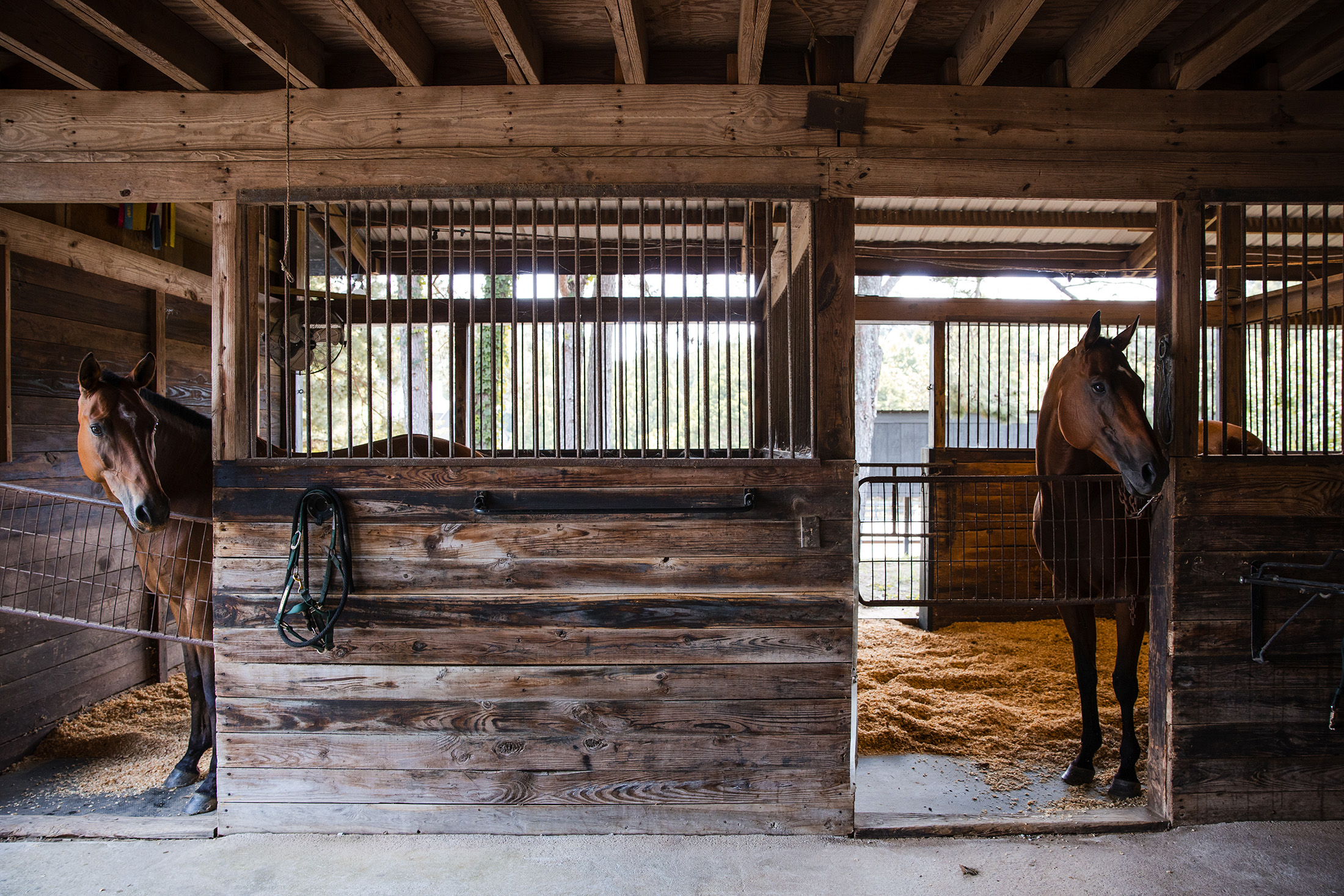  Rare Equestrian Facility with Prestigious Address - 物件實景