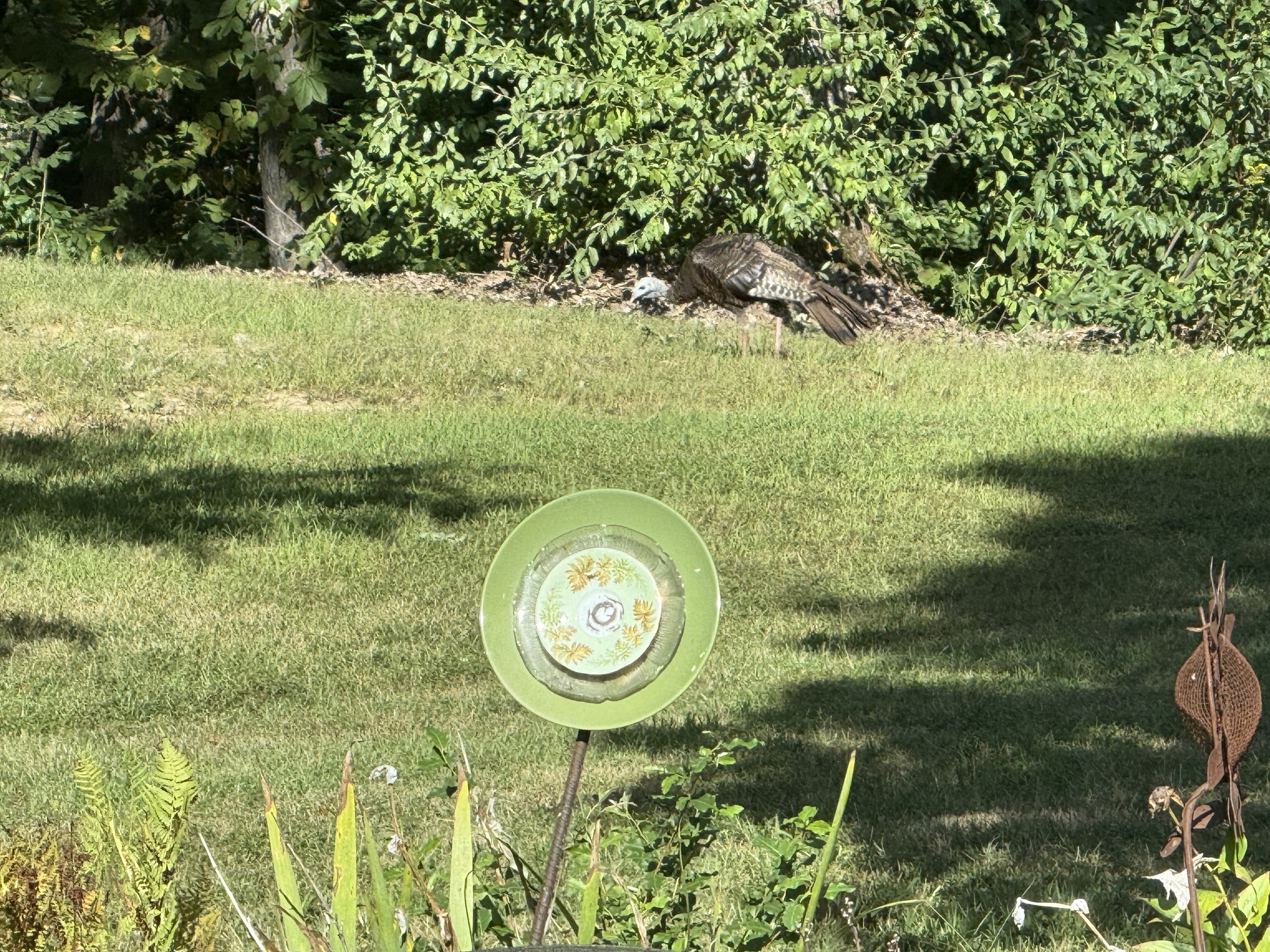 Kirksville, Missouri, 63501, United States, 4 Bedrooms Bedrooms, ,2 BathroomsBathrooms,Residential,For Sale,1976036