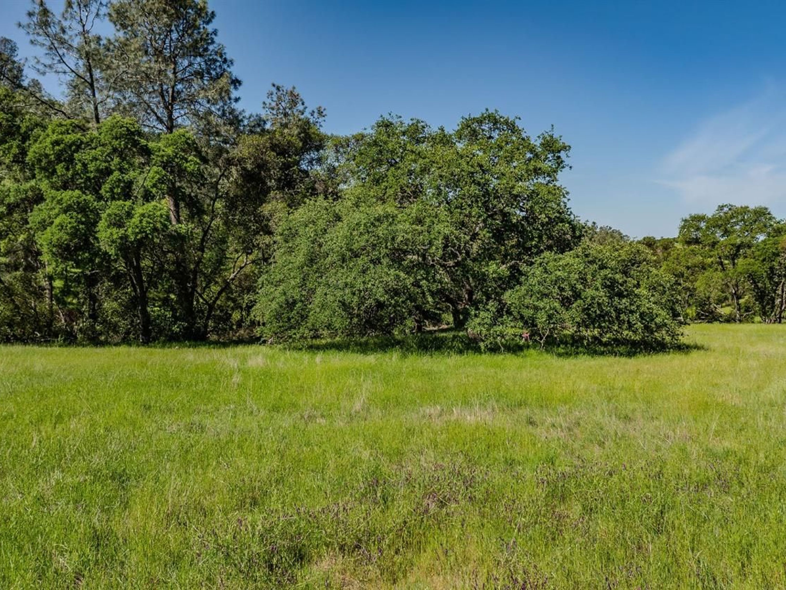  10865 Sunset Drive, Sutter Creek, CA 95685 - 物件實景