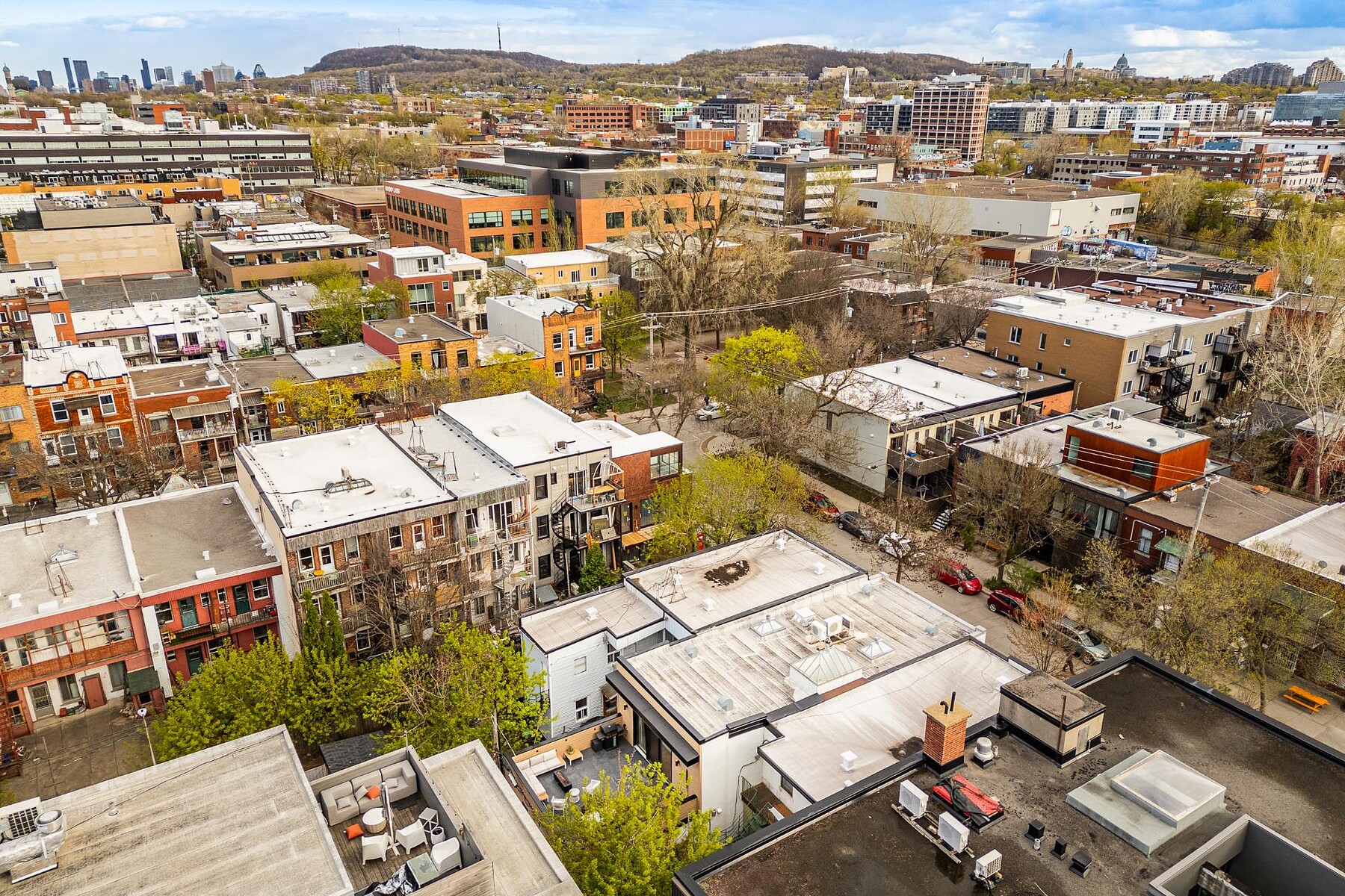  Rosemont / La Petite-Patrie, Montréal - 物件實景