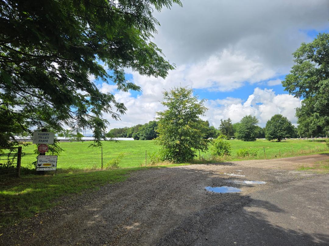 Lamar, Arkansas, 72846, United States, ,Residential,For Sale,2048201