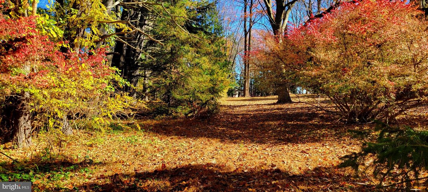Glen Mills, Pennsylvania, 19342, United States, ,Land,For Sale,1857840