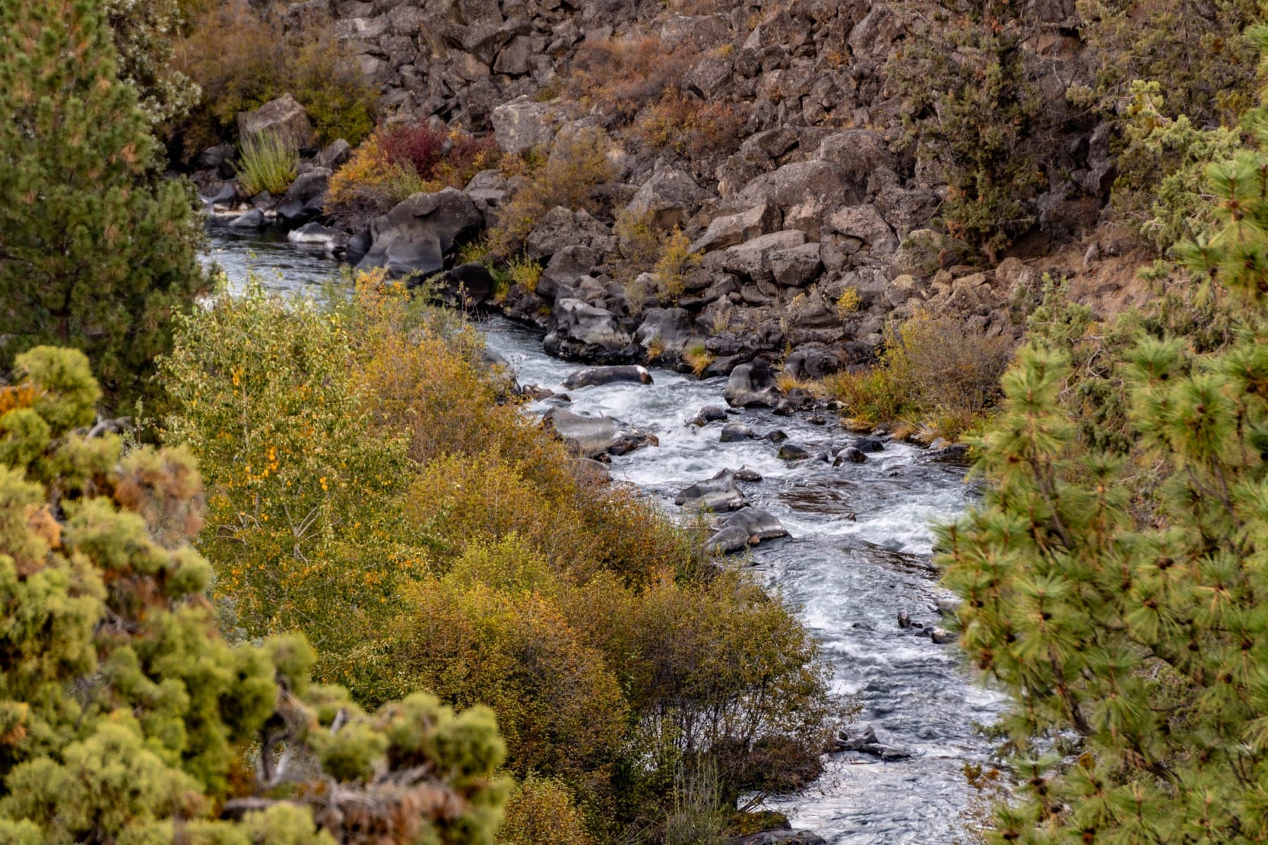  885 NW Chelsea Loop Bend, OR 97703 - 物件實景