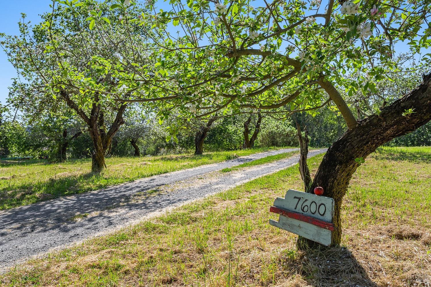 Forestville, California, 95436, United States, 4 Bedrooms Bedrooms, ,3 BathroomsBathrooms,Residential,For Sale,1796757