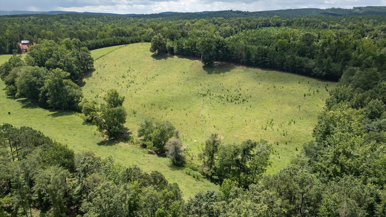 Heflin, Alabama, 36264, United States, ,Land,For Sale,1981342