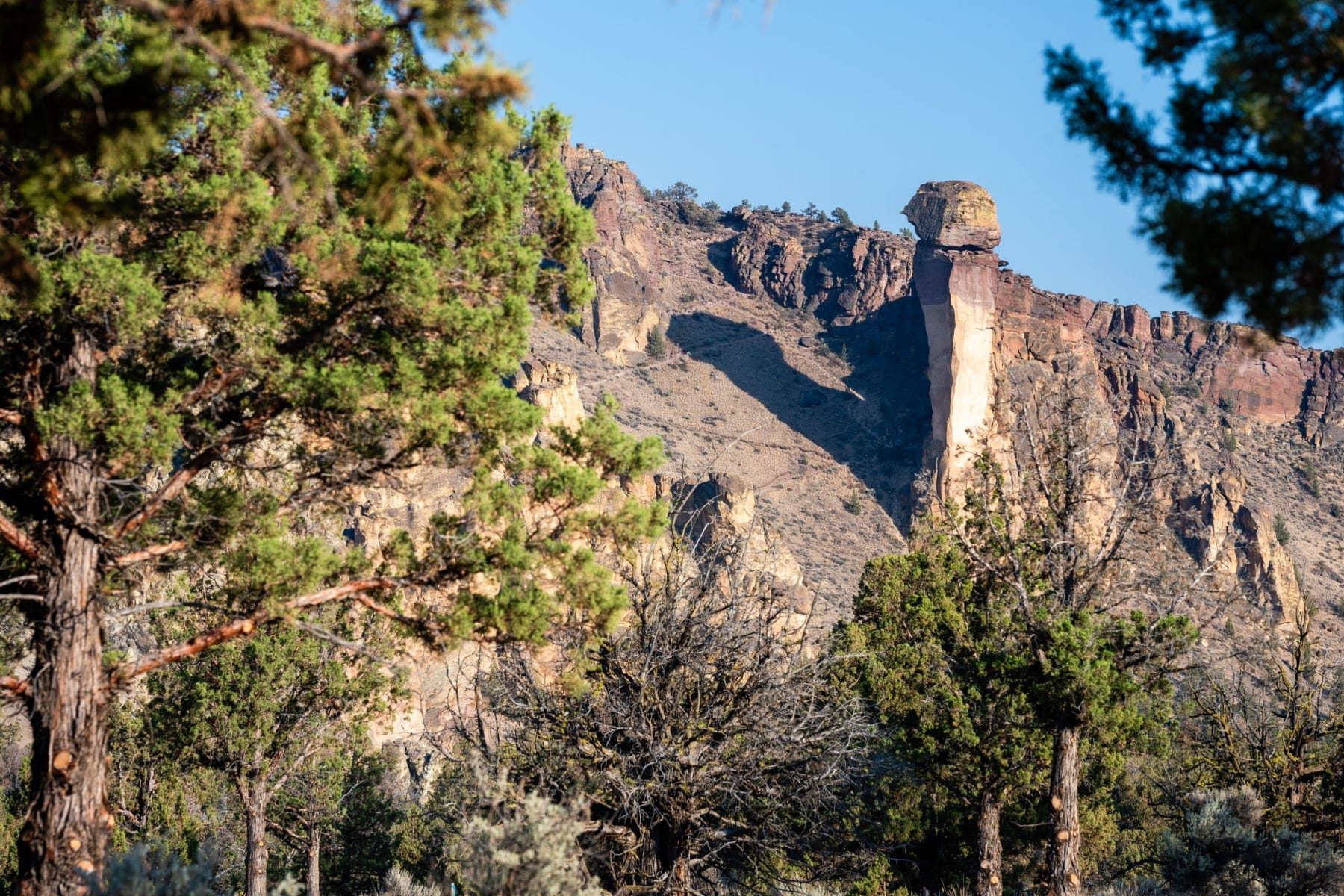  11330 NE Canyons Ranch Drive #LH 13 Terrebonne, OR 97760 - 物件實景