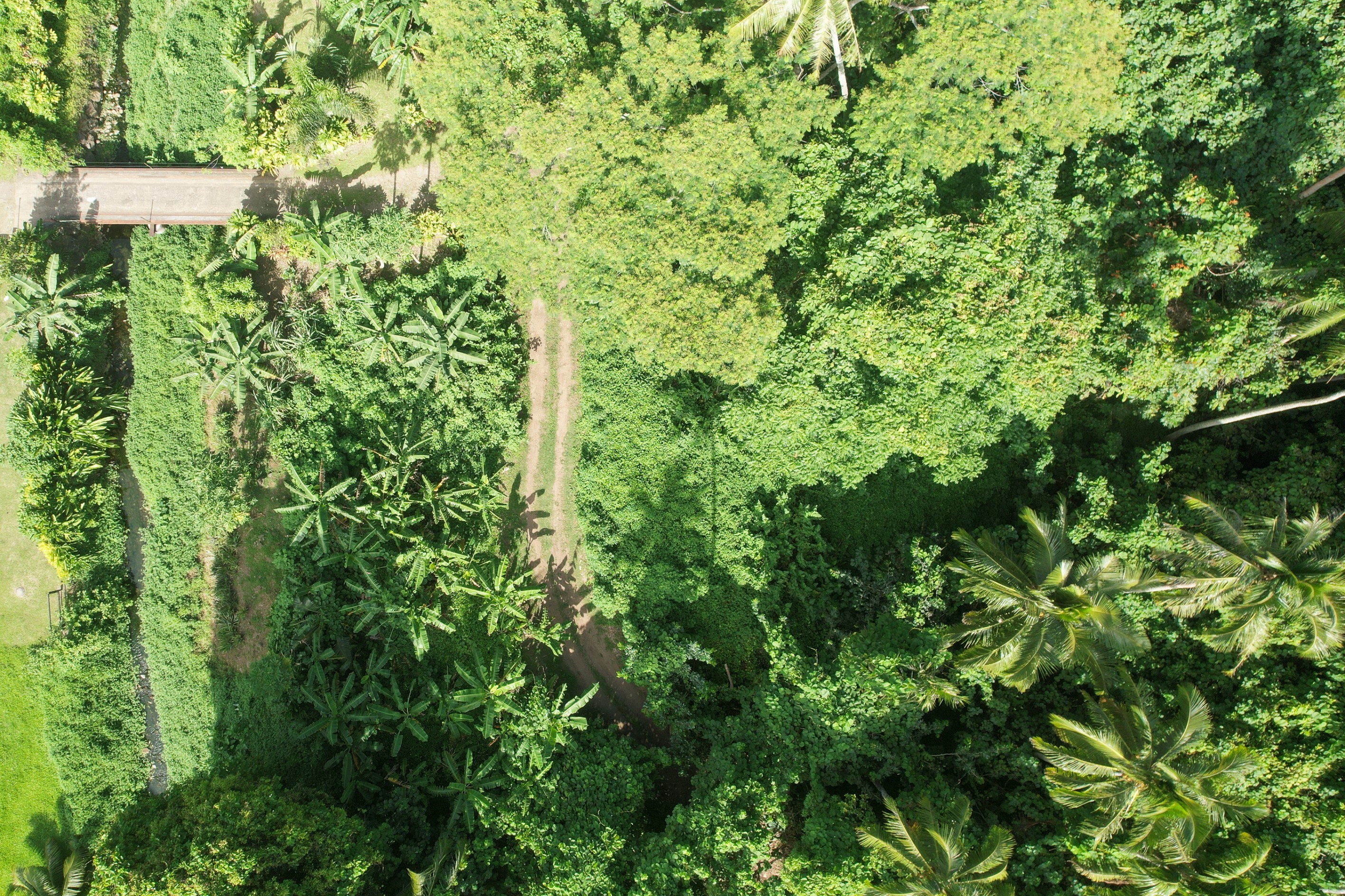  Moorea – Vaiare – Large plot near the dock - 物件實景