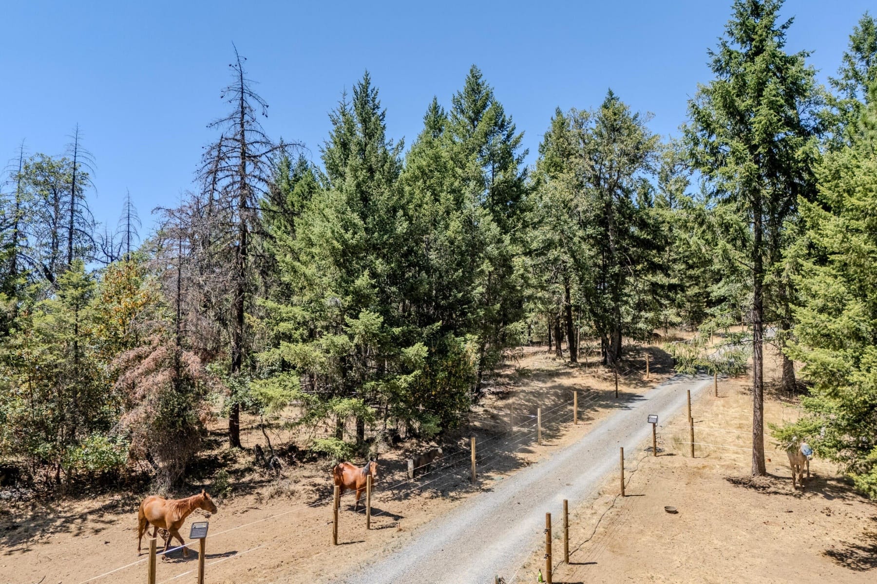  7036 Griffin Lane Jacksonville, OR 97530 - 物件實景