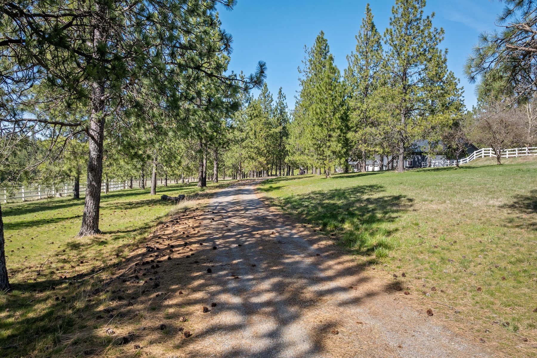  7433 E Highview Dr - 物件實景