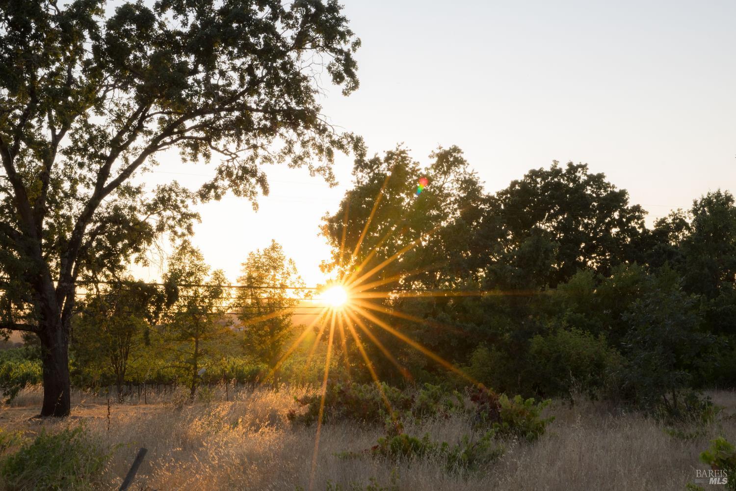 Santa Rosa, California, 95401, United States, ,Land,For Sale,1975018