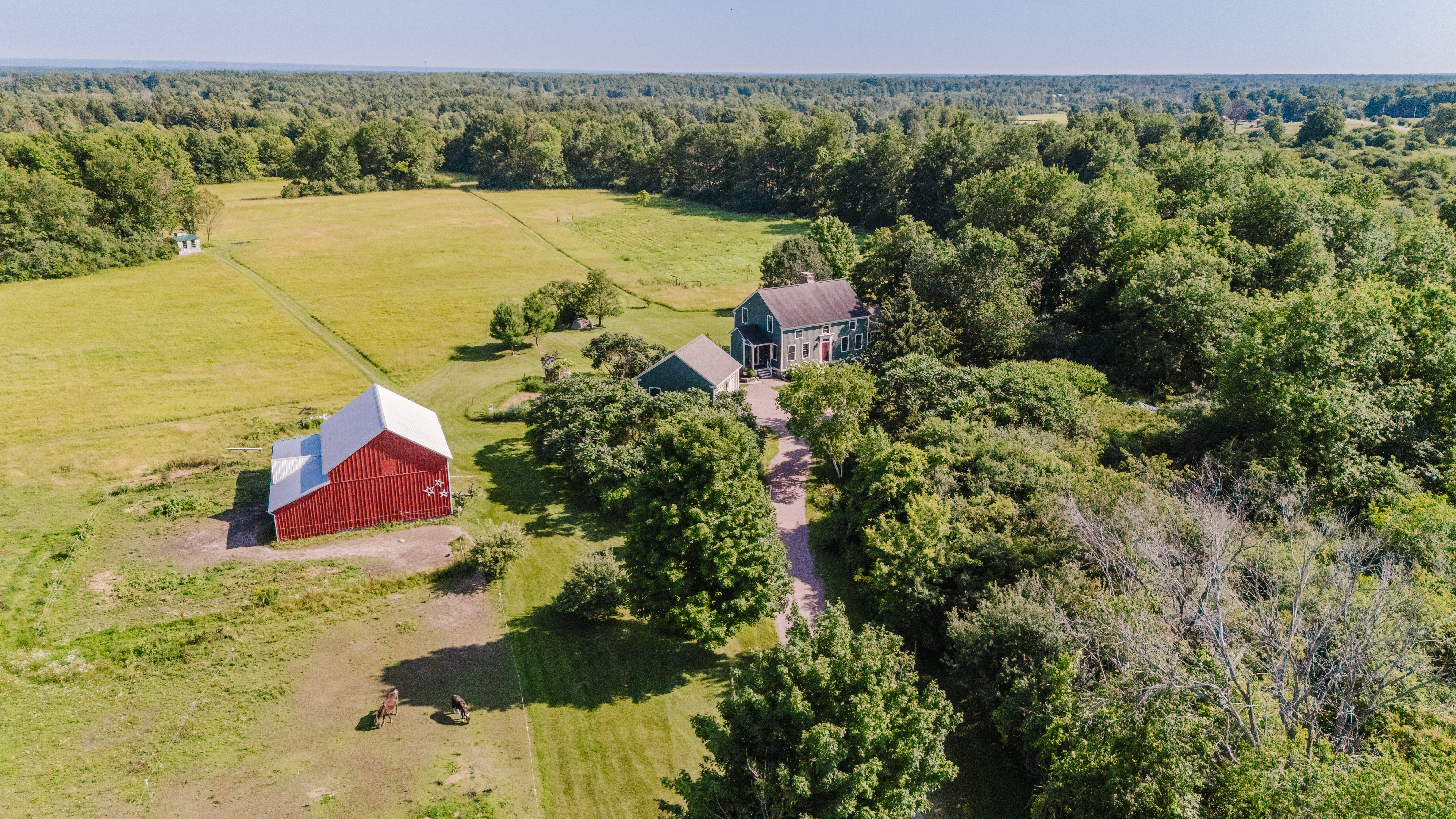  13730 County Route 5, Clayton, NY, 13624 - 物件實景