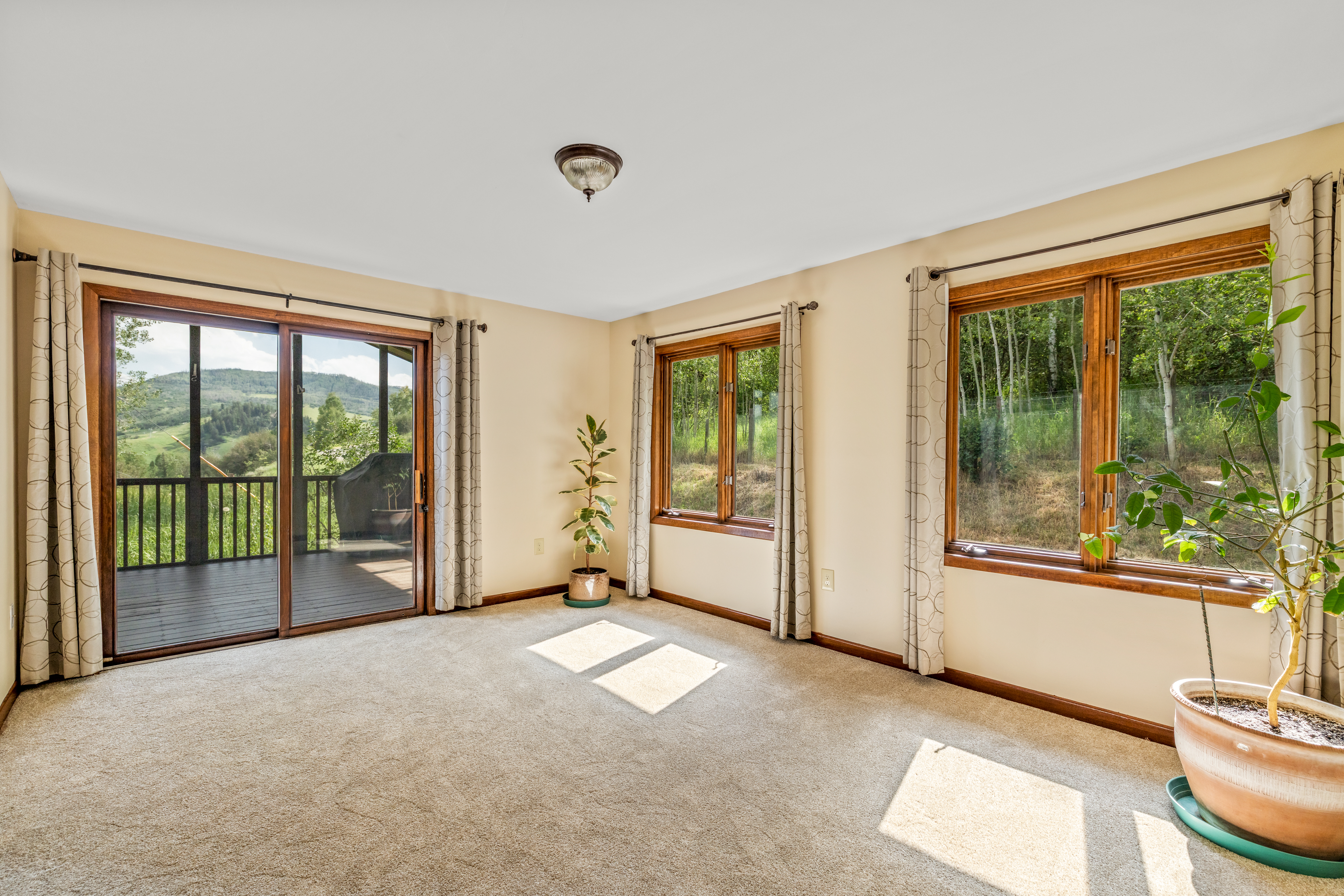  1141 Thornburg Street, Steamboat Springs, CO, 80487 - 物件實景