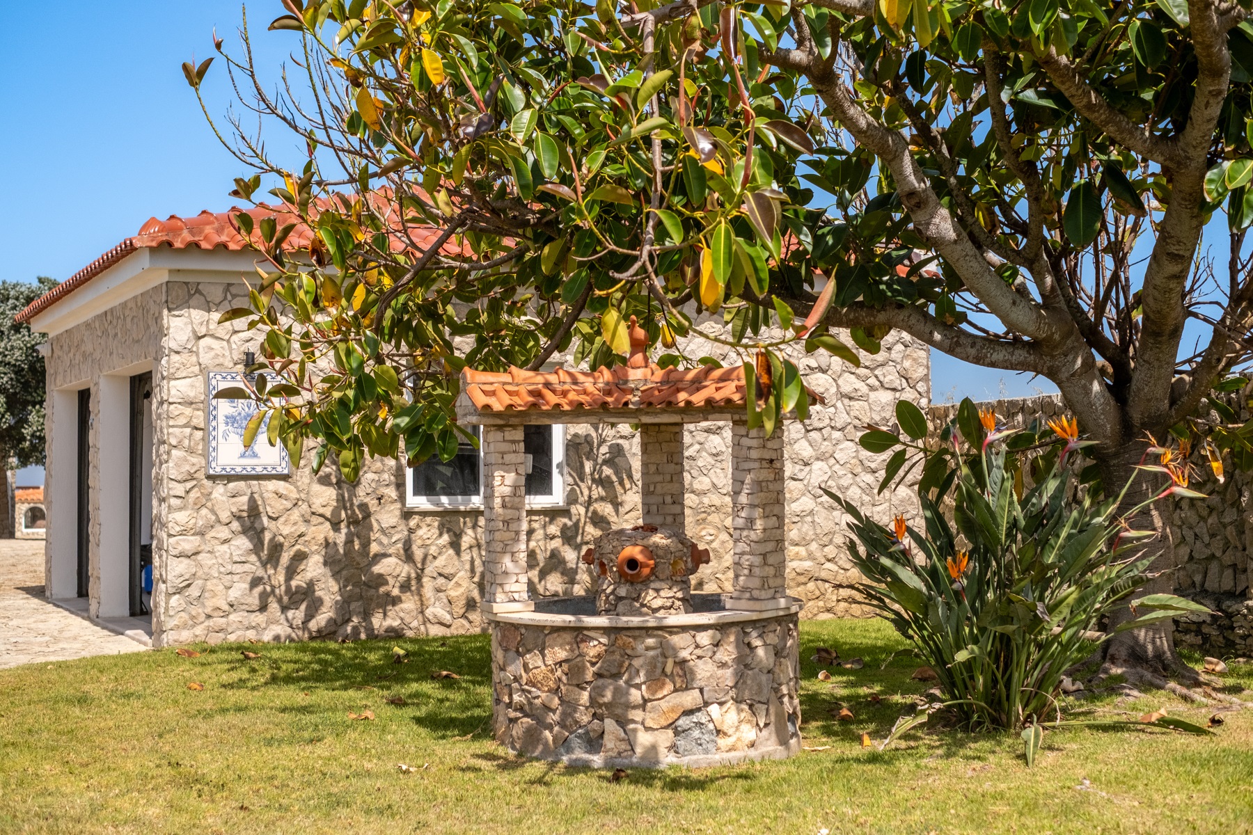  Country Estate, 9 bedrooms, for Sale - 物件實景
