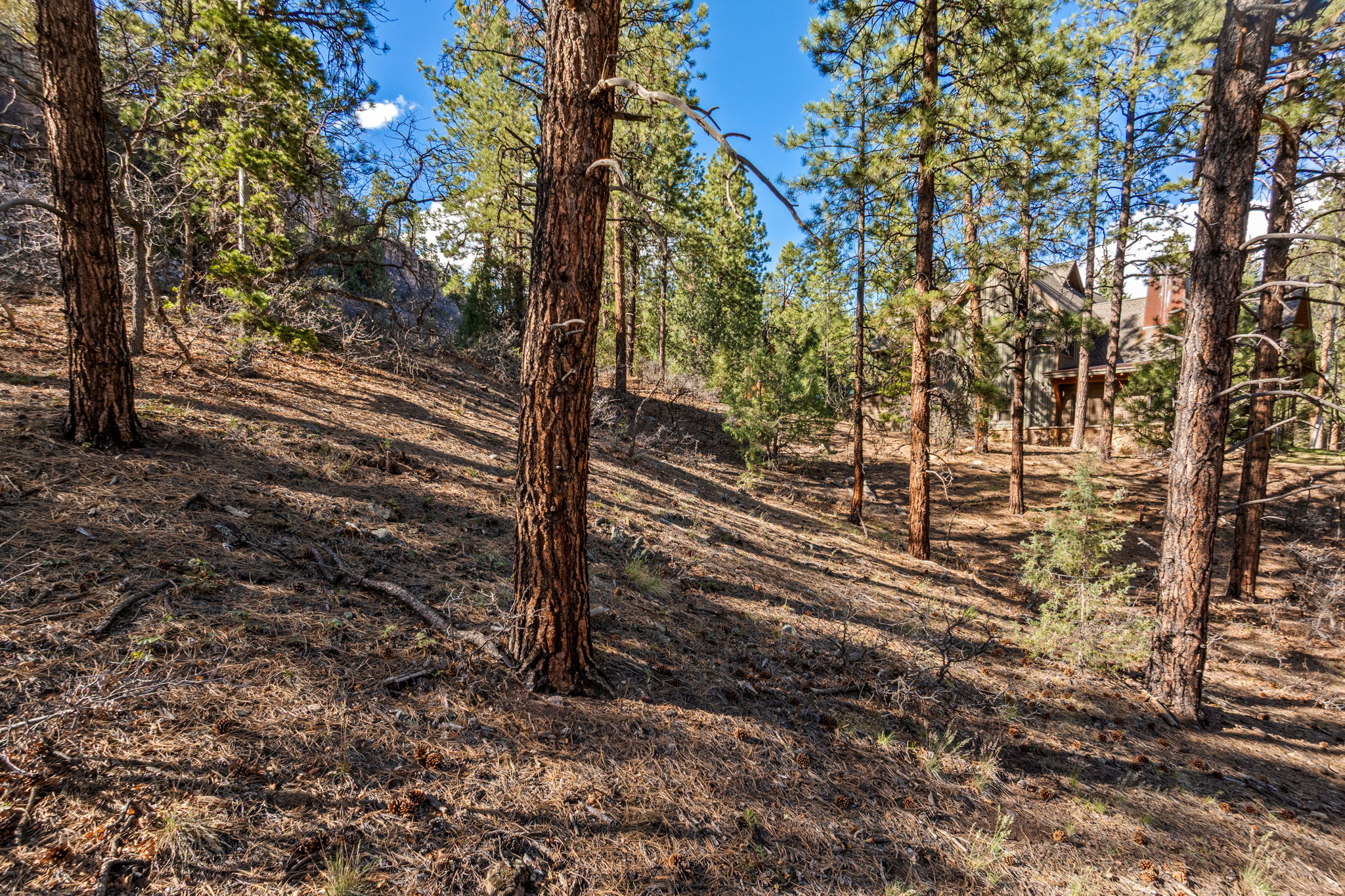  47 Ambush Canyon, Durango, CO 81301 - 物件實景
