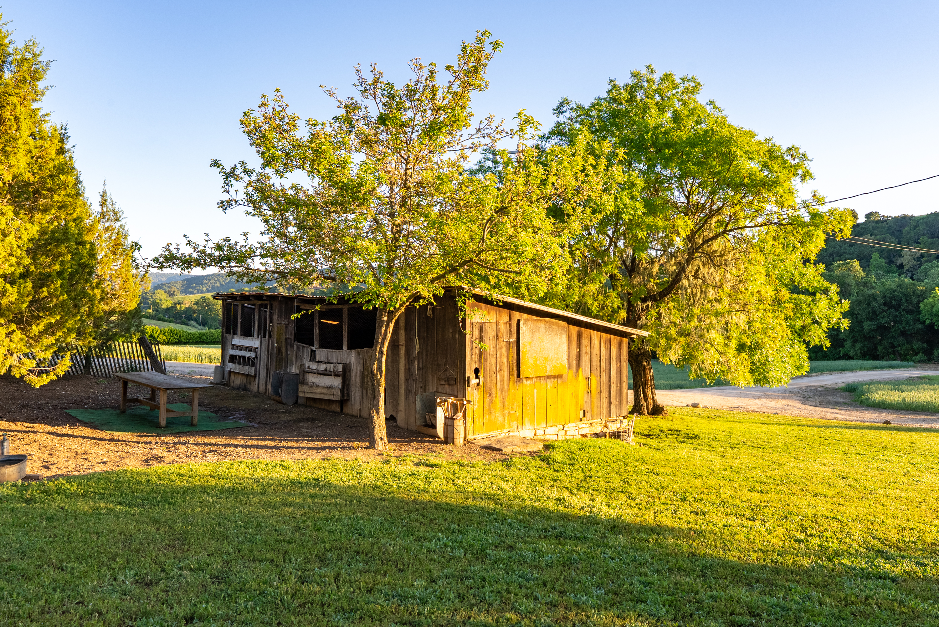  5250 & 5260 - 物件實景