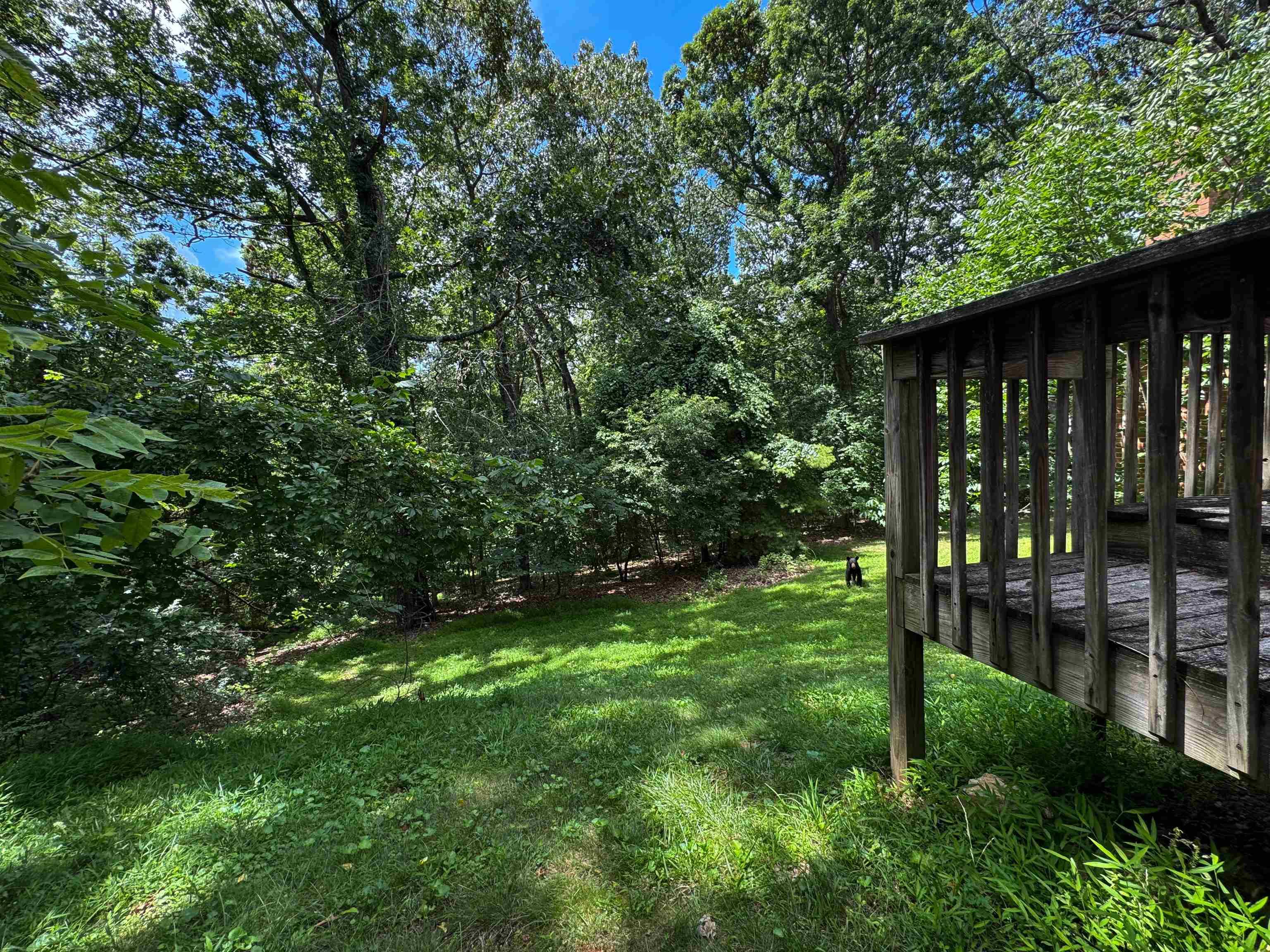 Blacksburg, Virginia, 24060, United States, 5 Bedrooms Bedrooms, ,4 BathroomsBathrooms,Residential,For Sale,1900979