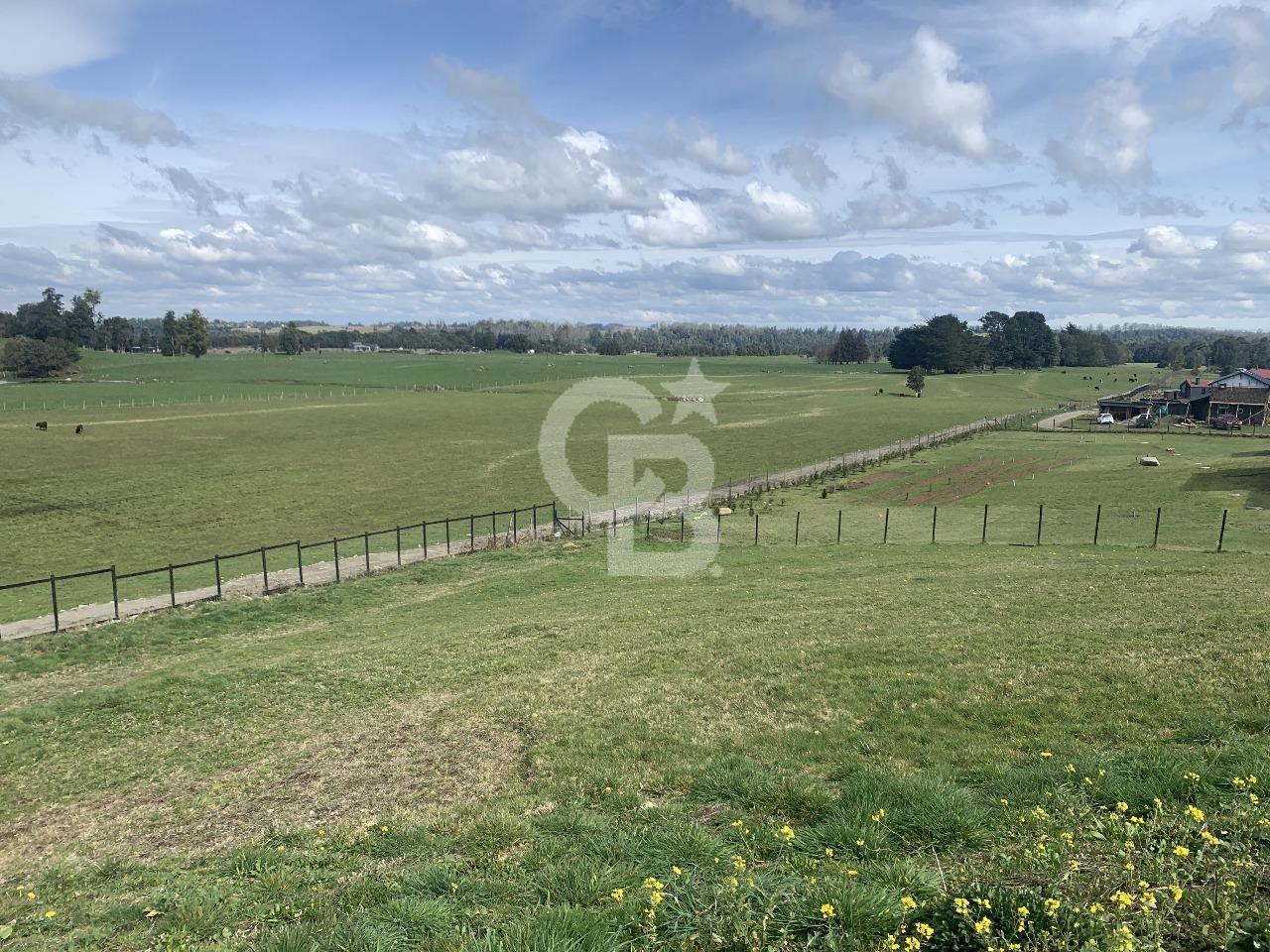 Puerto Varas, Chile, ,Residential,For Sale,2000984