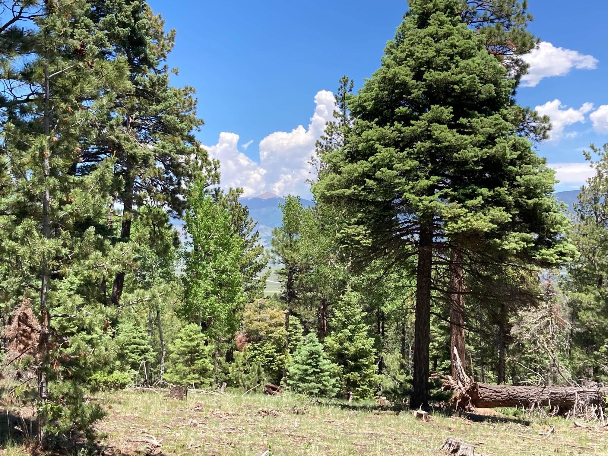 Eagle Nest, New Mexico, 87718, United States, ,Land,For Sale,1752253