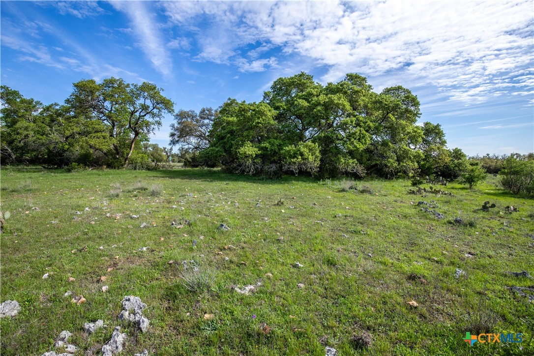 San Marcos, Texas, 78666, United States, ,Land,For Sale,1990898