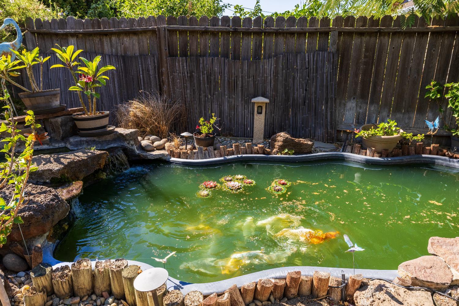 Citrus Heights, California, 95621, United States, 3 Bedrooms Bedrooms, ,2 BathroomsBathrooms,Residential,For Sale,2015324