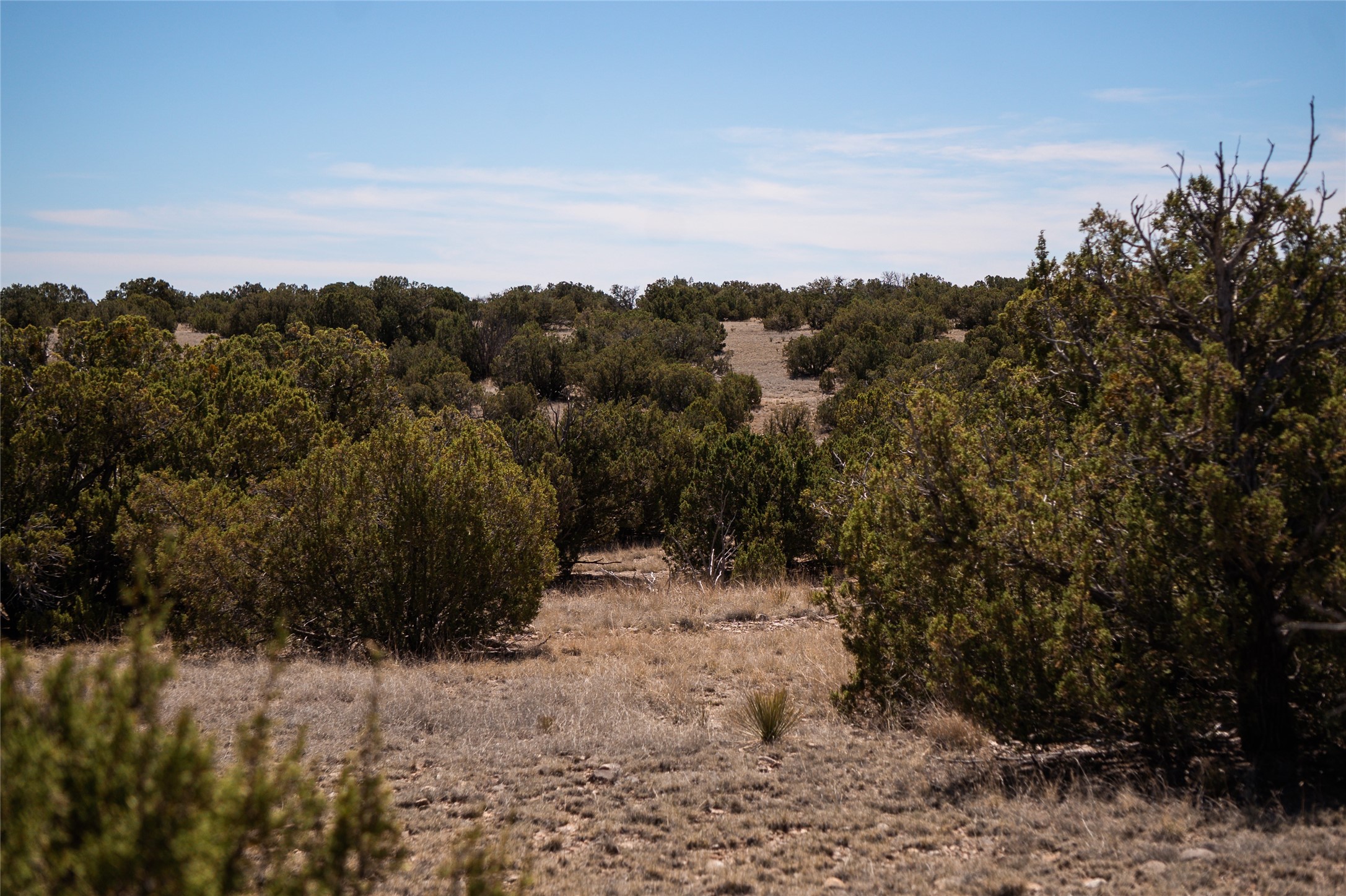  7 Rancho De Shama A - 物件實景