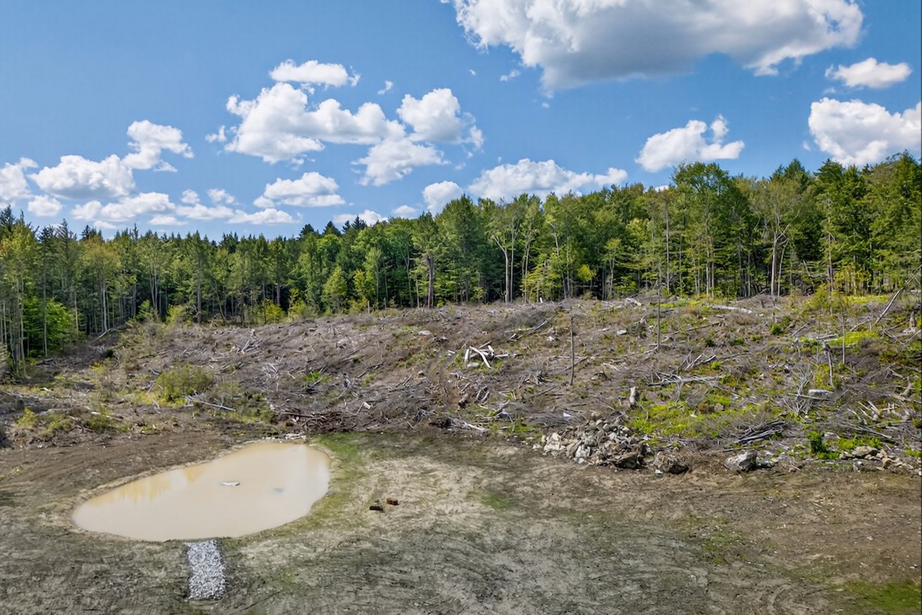 Parker Lane - 物件實景
