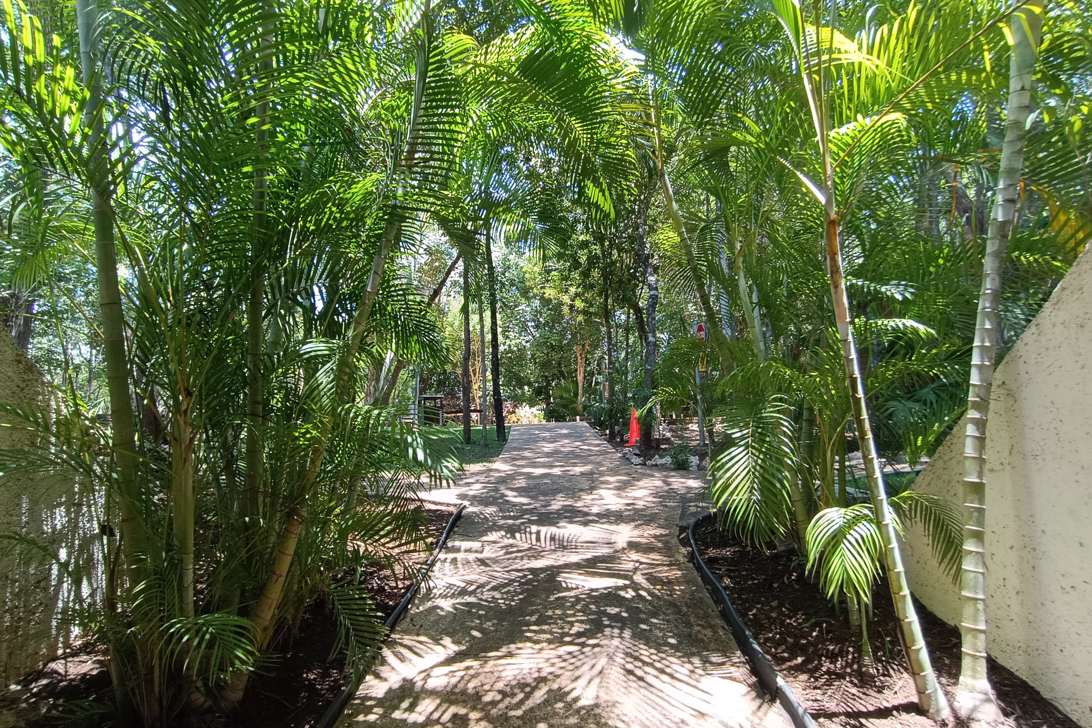  Luxury Residence Jungle Experience - 物件實景