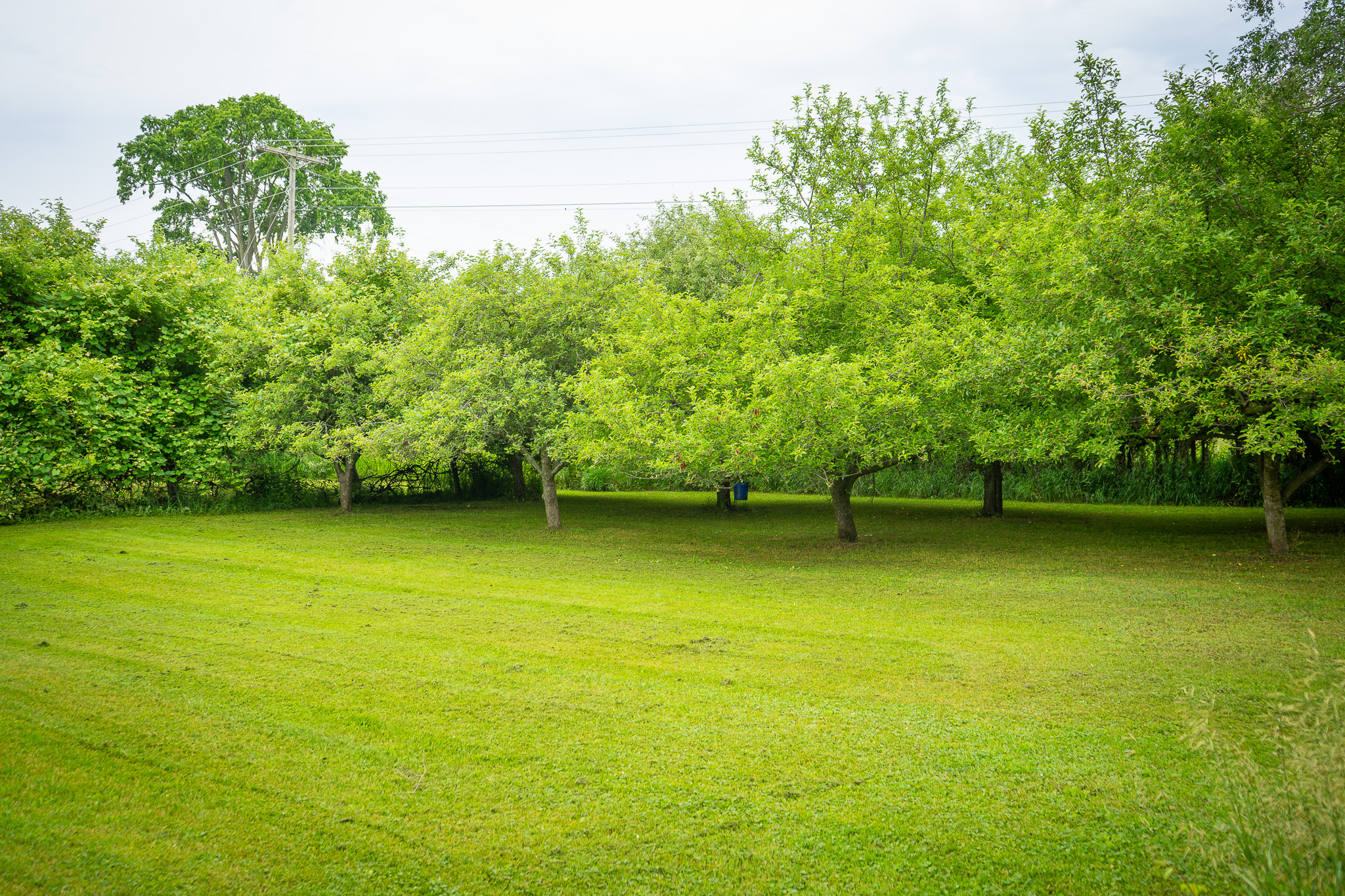 Walkerville, Michigan, 49459, United States, 5 Bedrooms Bedrooms, ,2 BathroomsBathrooms,Residential,For Sale,1942688