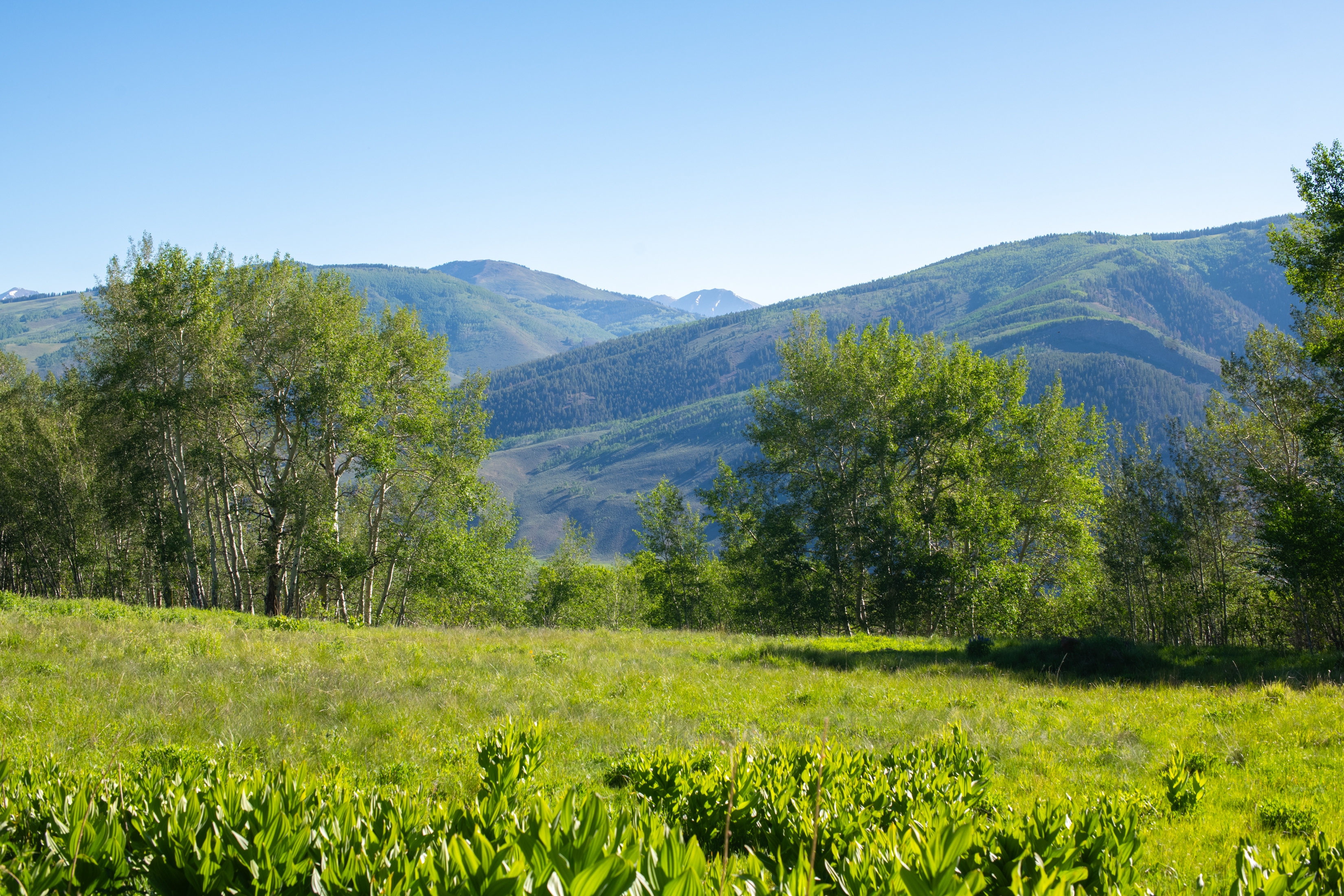  2177 Aspen Mountain Road - 物件實景
