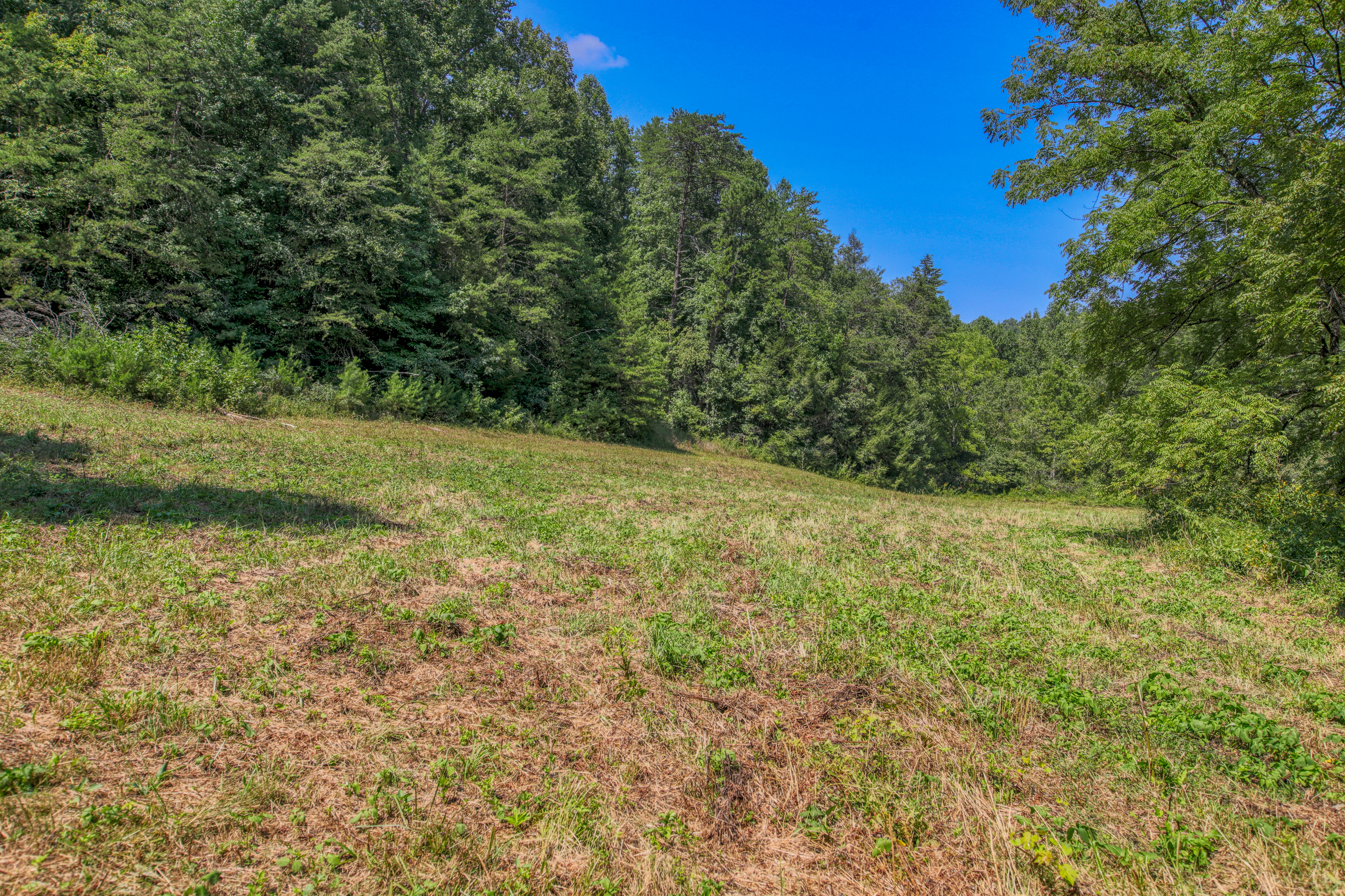  Belcher Loop, Tellico Plains, TN 37385 - 物件實景