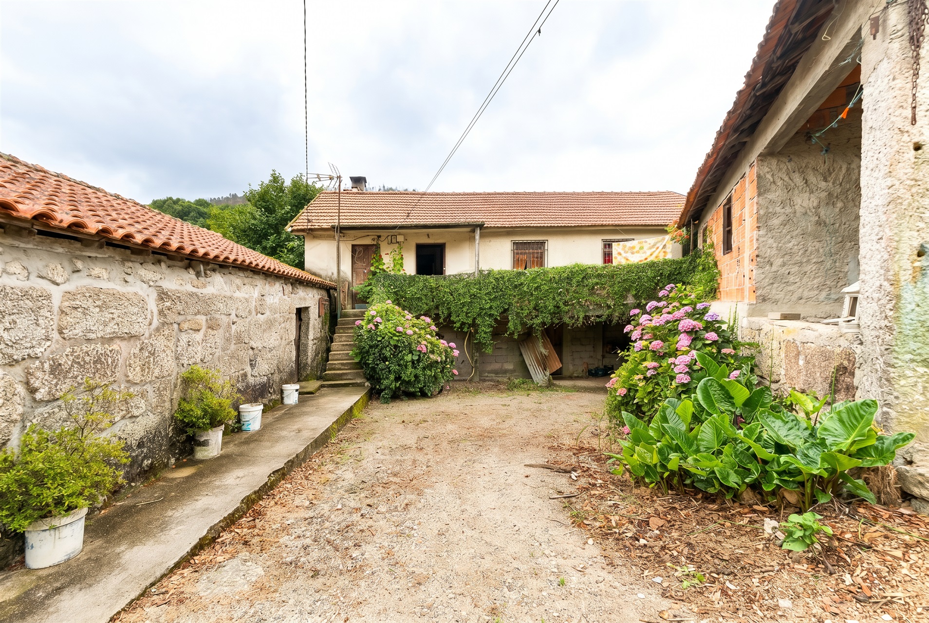  Farm, 3 bedrooms, for Sale - 物件實景