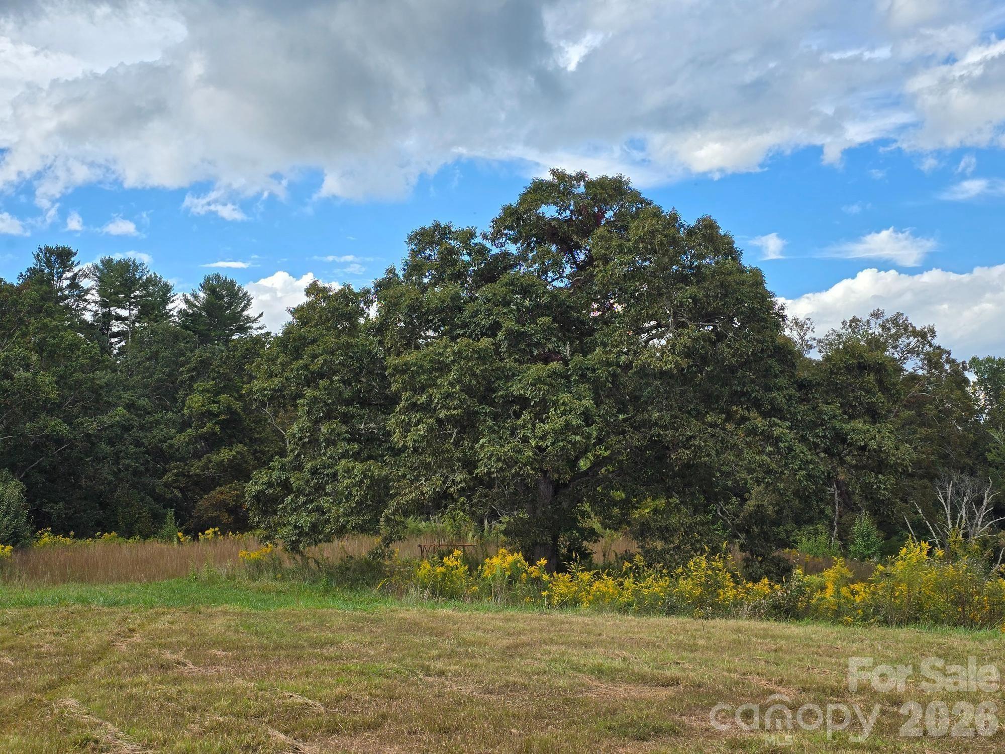 Mills River, North Carolina, 28759, United States, ,Land,For Sale,2049457
