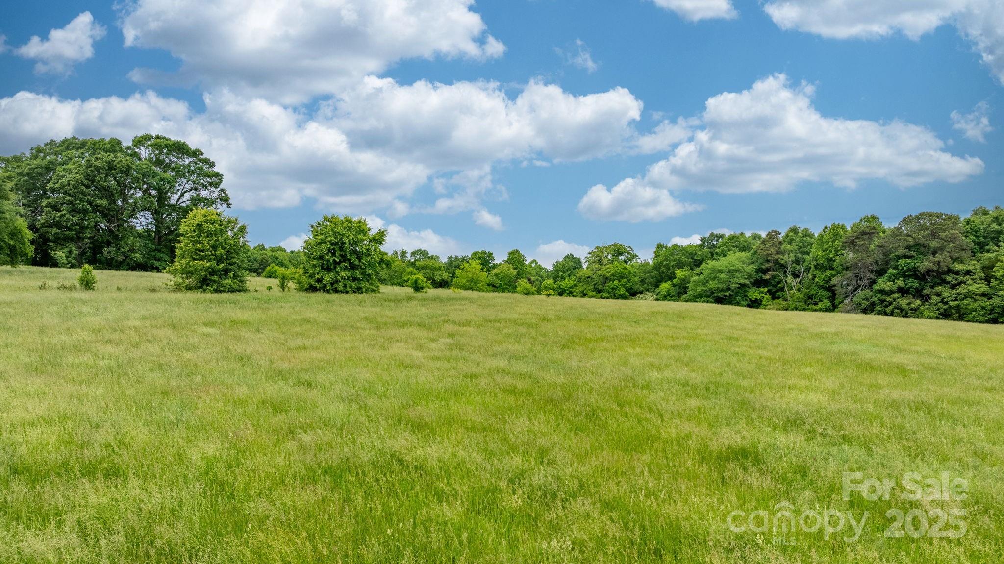 Stony Point, North Carolina, 28678, United States, ,Land,For Sale,1807126