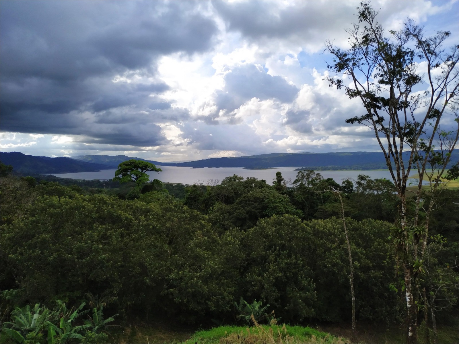 La Fortuna, Alajuela, CR, ,Land,For Sale,1828569