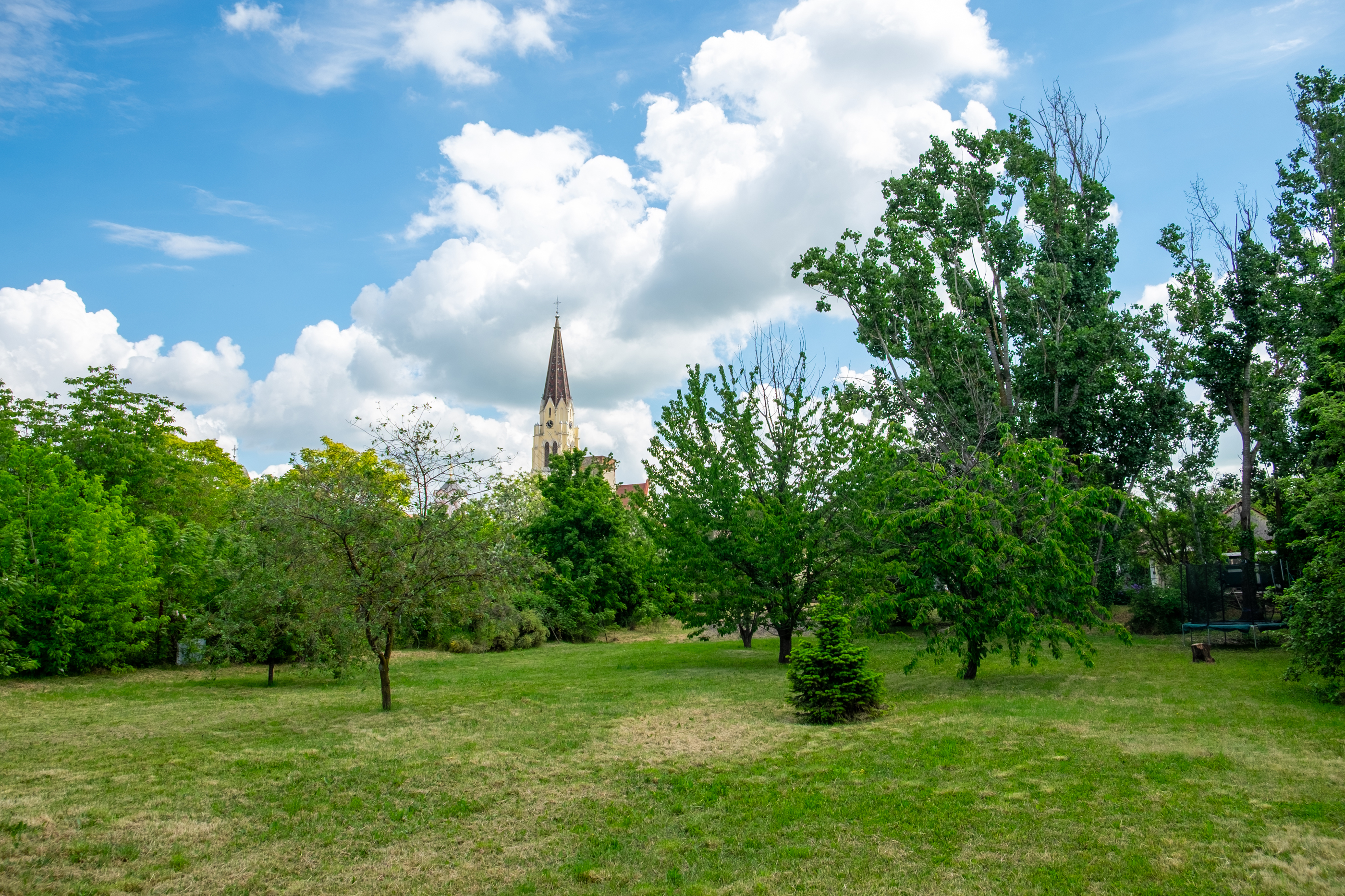  Ferch Manor - History and Tradition near Timioara - 物件實景