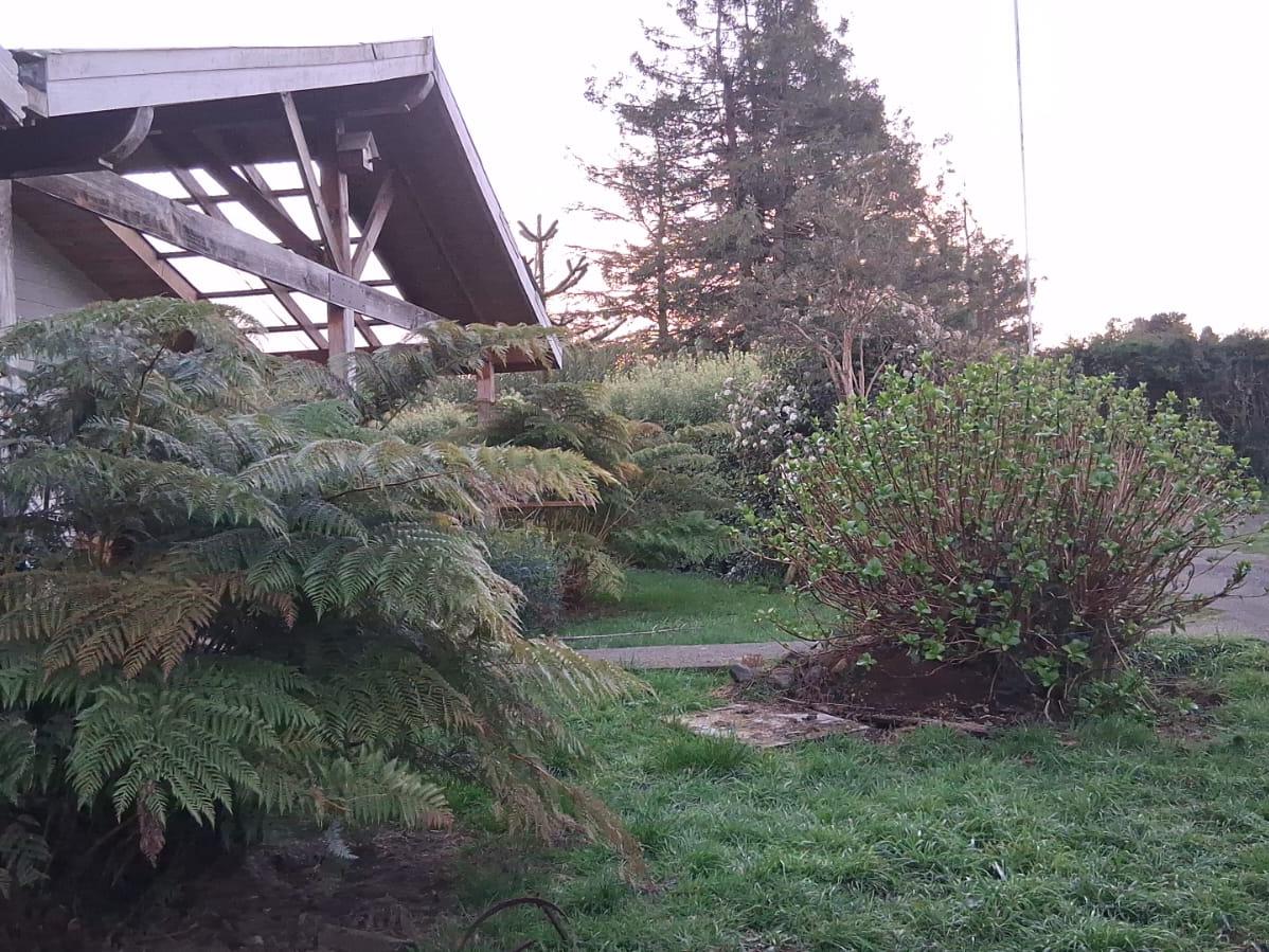 Puyehue, Chile, ,Residential,For Sale,1934645