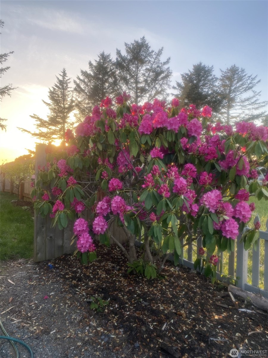 Long Beach, Washington, 98631, United States, 3 Bedrooms Bedrooms, ,2 BathroomsBathrooms,Residential,For Sale,1895276