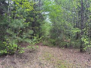 Naples, Texas, 75568, United States, ,Land,For Sale,1786234