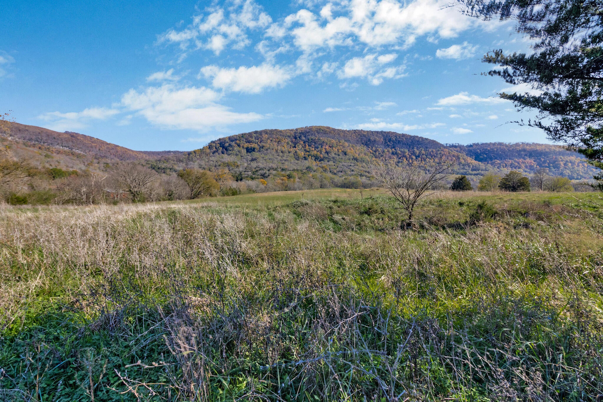 188 Marion Agee Road, Crossville, Tennessee, 37367, United States, ,Land,For Sale,188 Marion Agee Road,1659693