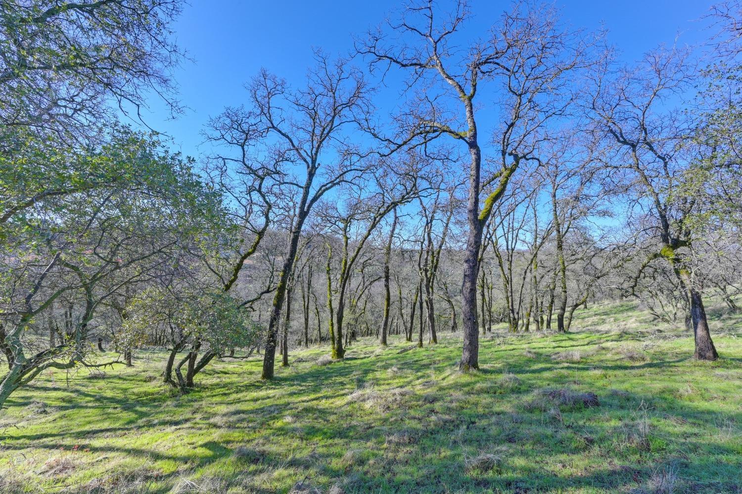 El Dorado Hills, California, 95762, United States, ,Land,For Sale,1994475