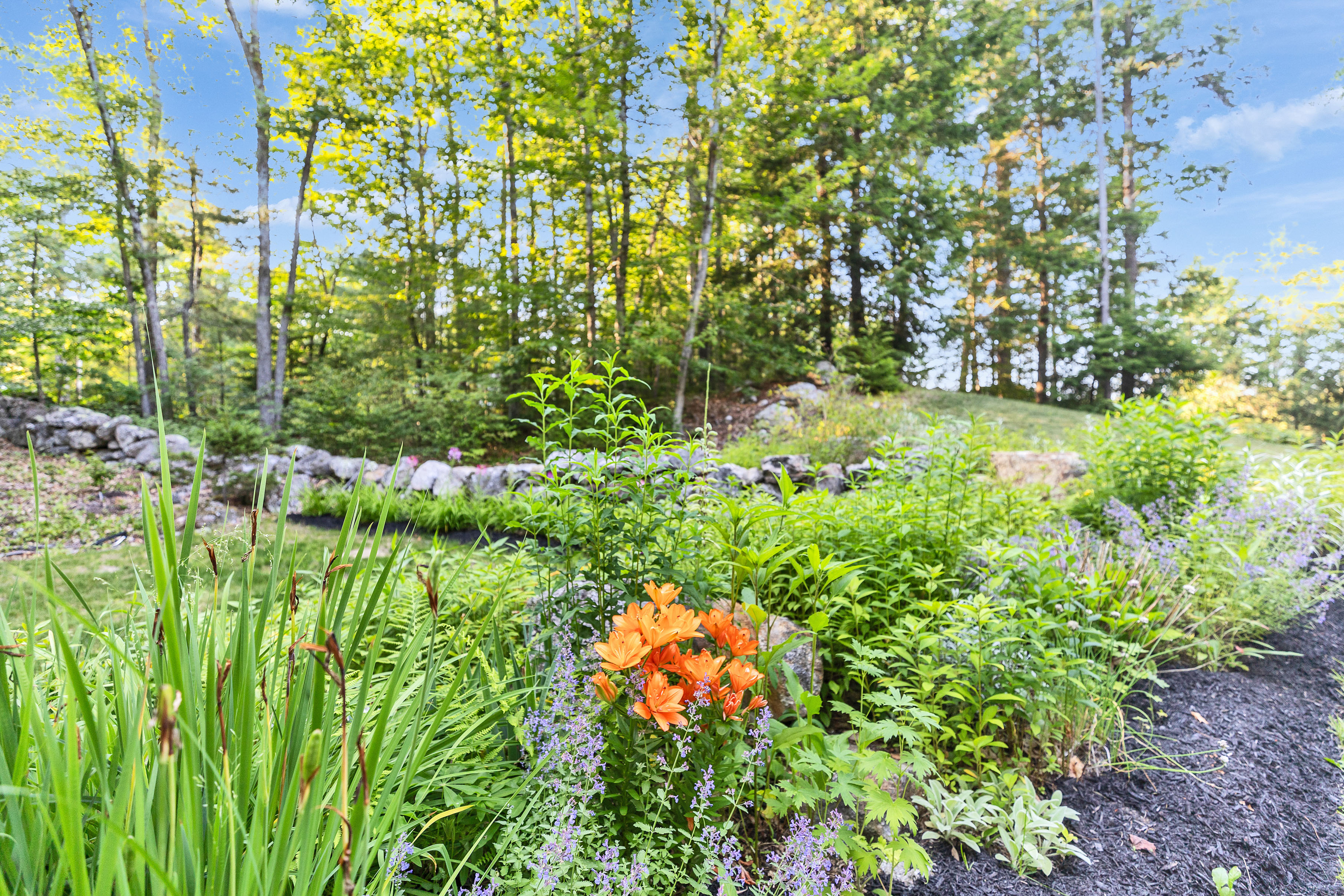  165 West Binney Hill Road - 物件實景