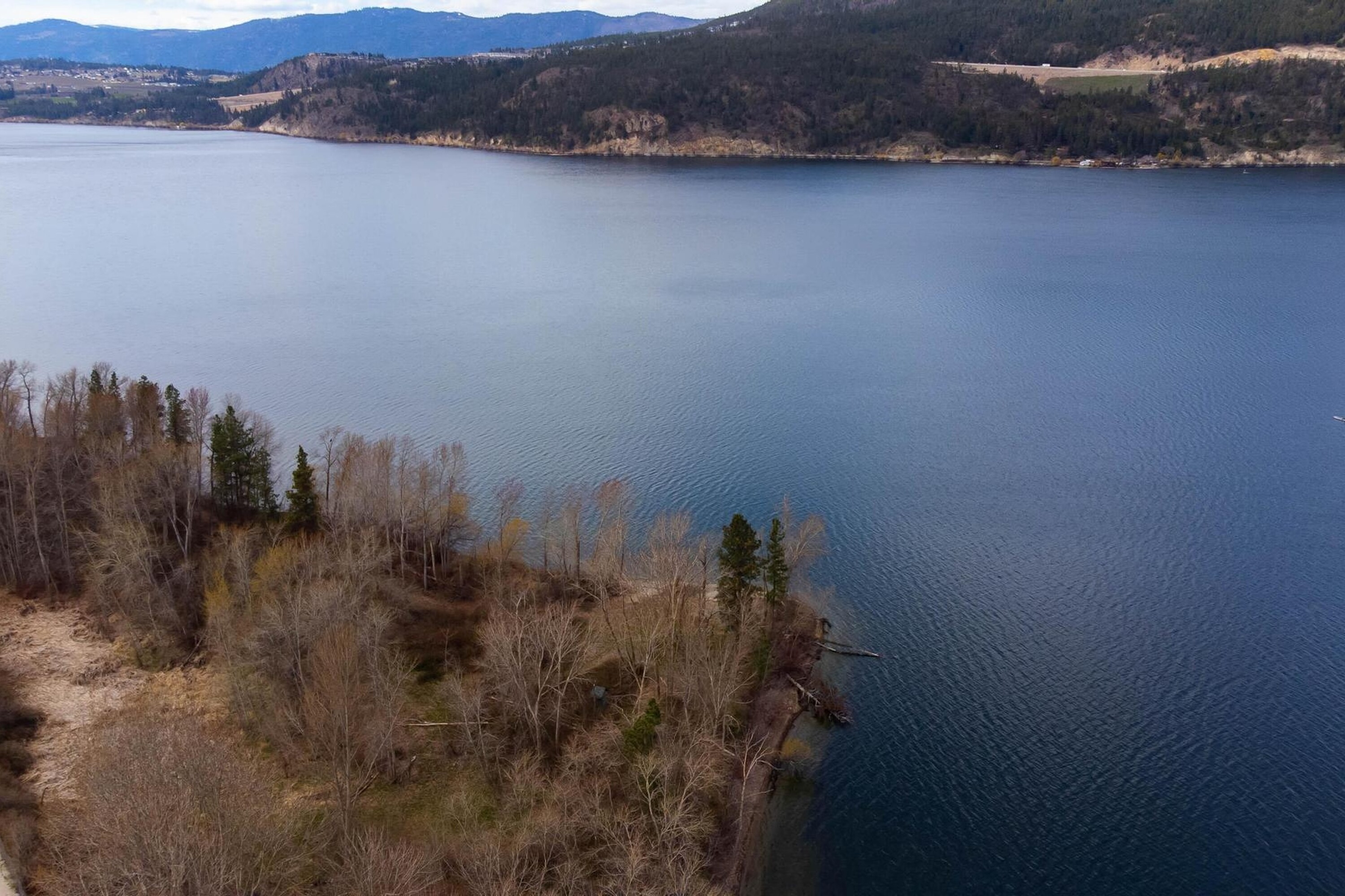  Lakeshore Parcel in Oyama - 物件實景