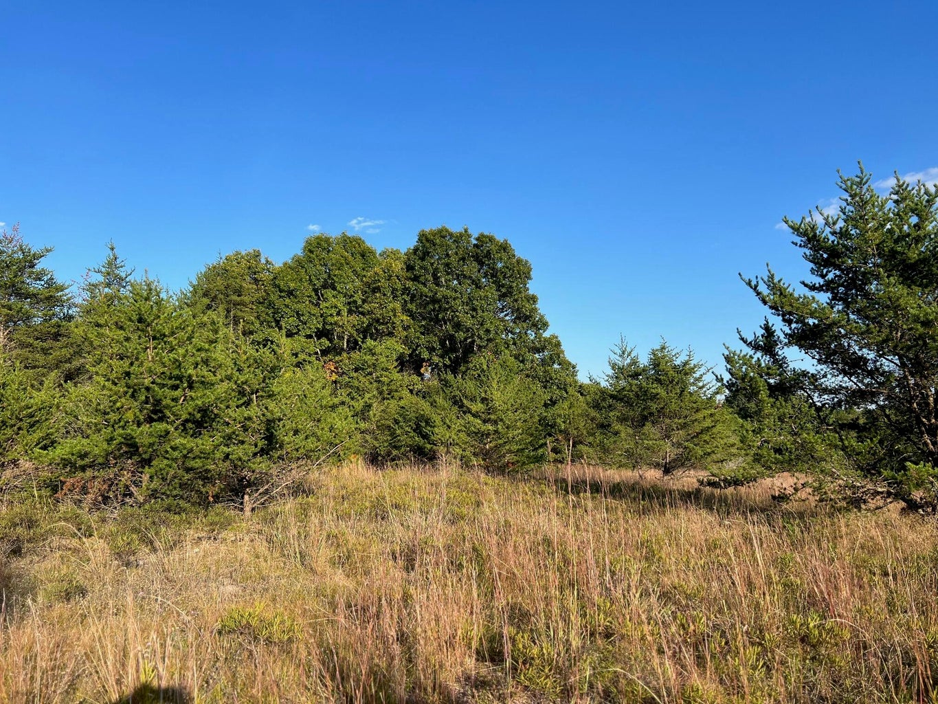 Baldwin, Michigan, 49304, United States, 3 Bedrooms Bedrooms, ,2 BathroomsBathrooms,Residential,For Sale,1990507