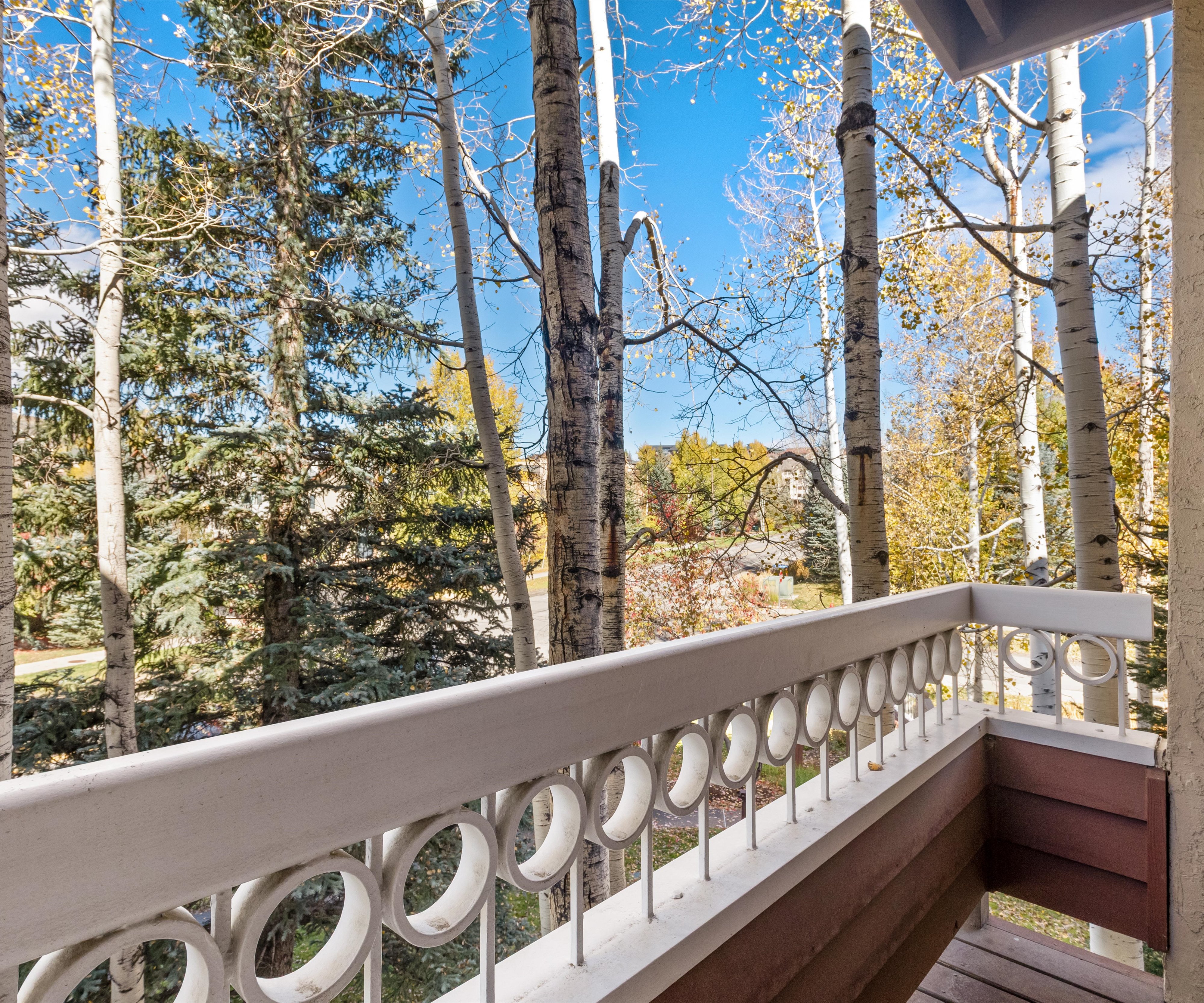  2800 Village Drive Unit 1203, Steamboat Springs, CO 80487 - 物件實景