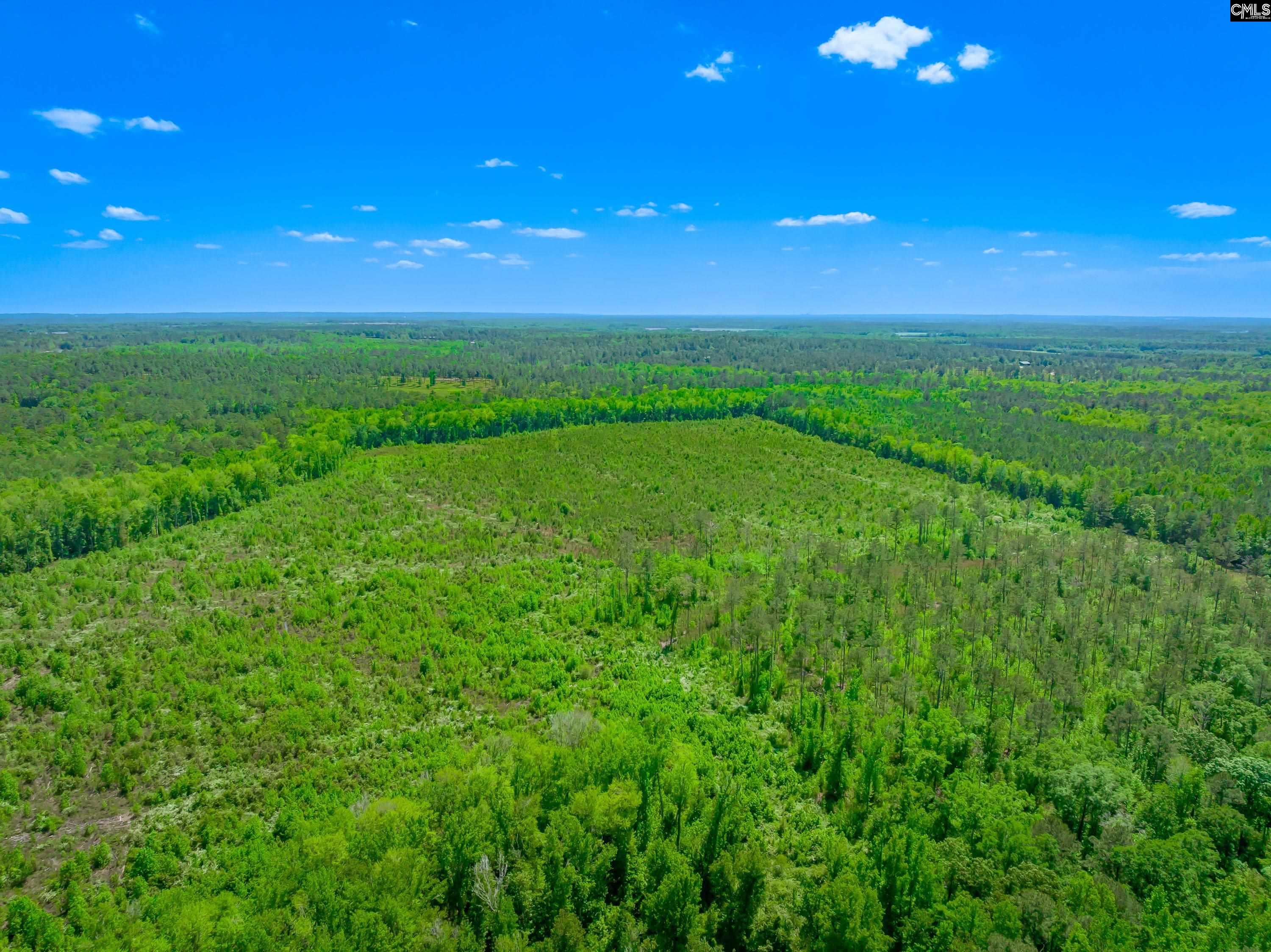  377 Sweet Street  Rembert, SC - 物件實景