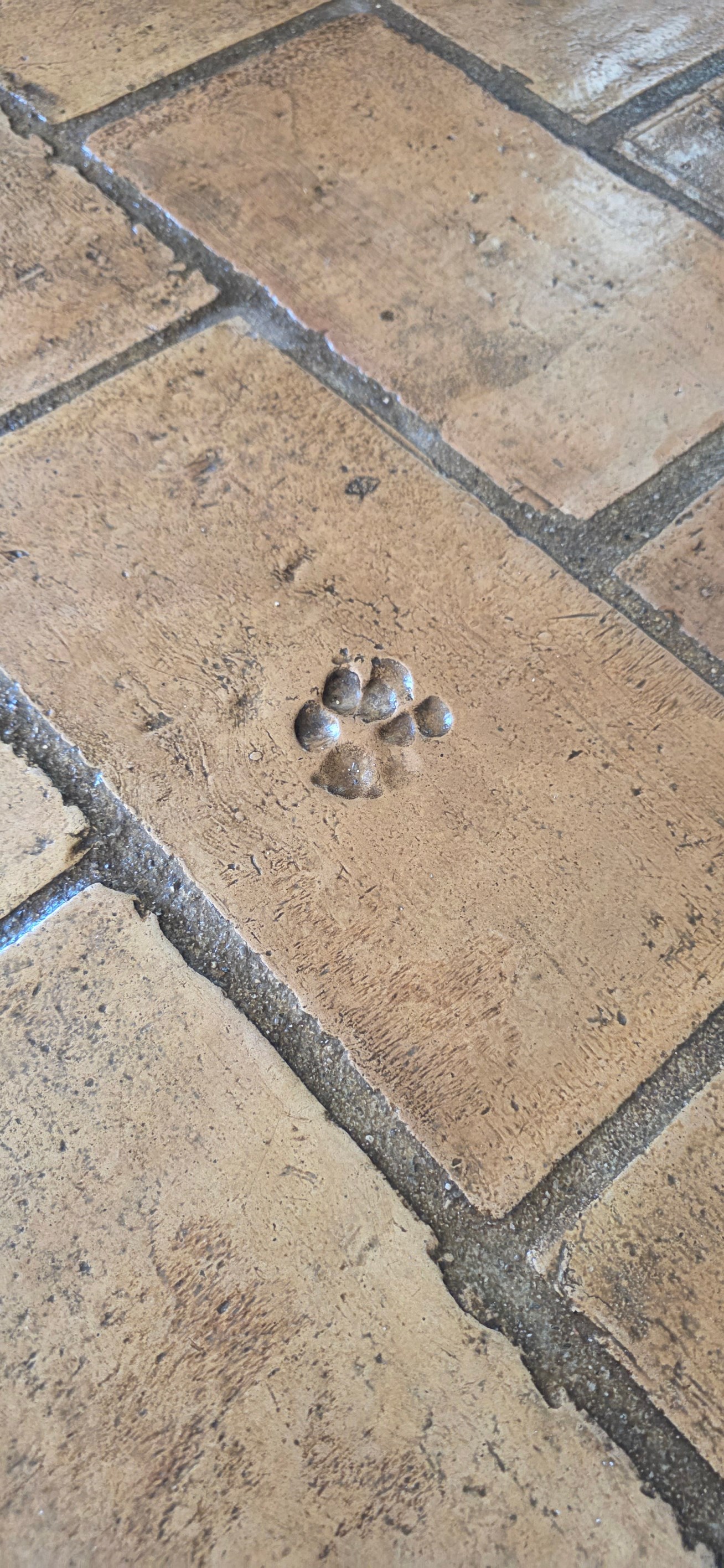  Elegant rural-edge property - 物件實景