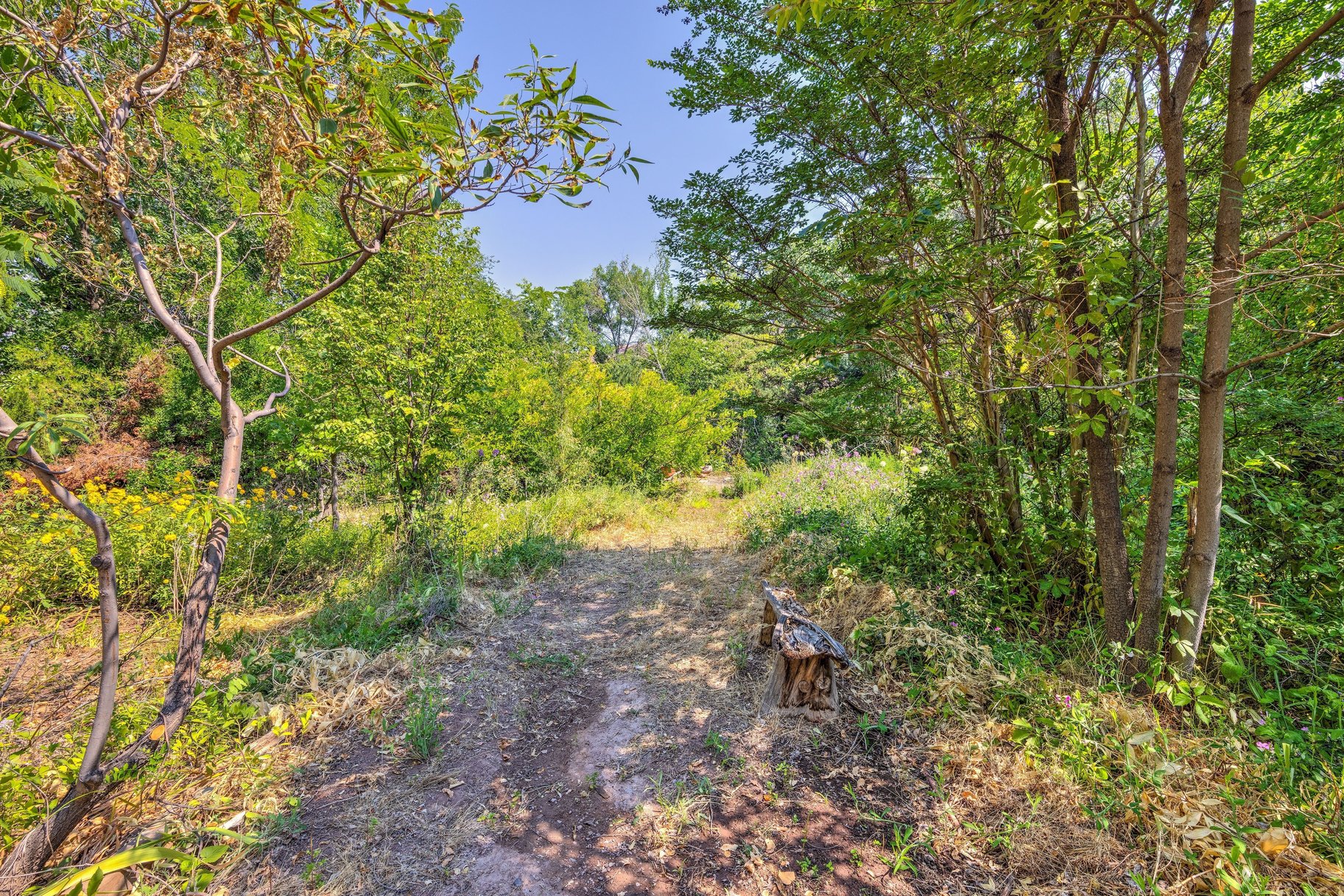  Great Location, Private Backyard & Plenty of Potential - 物件實景
