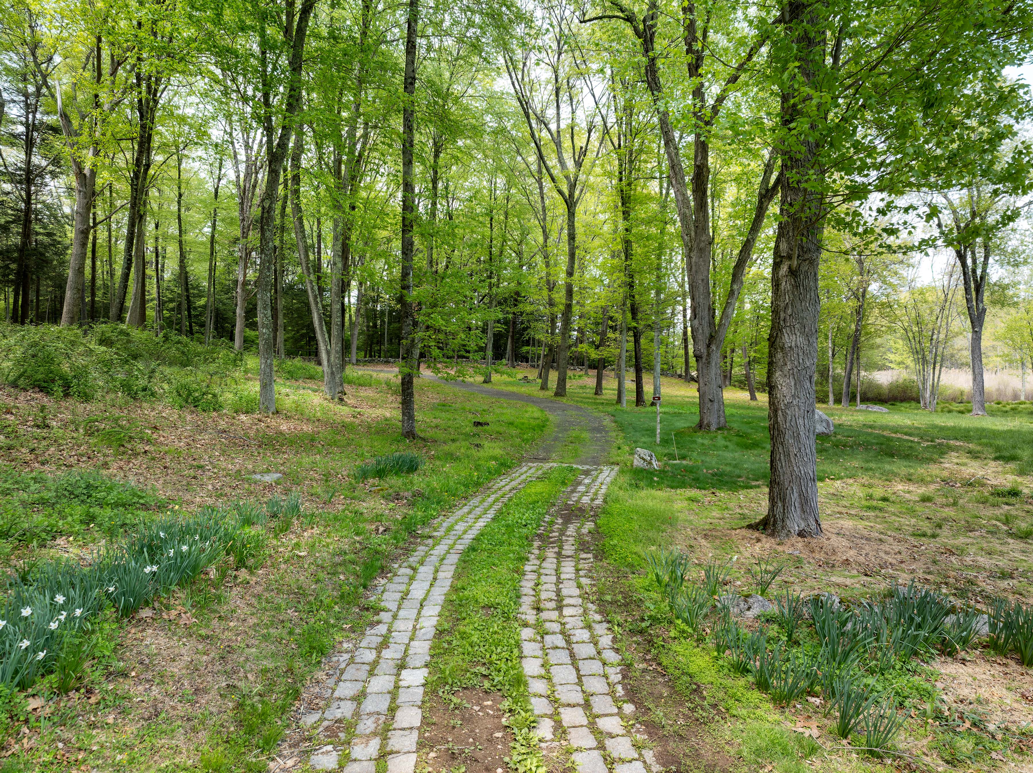 Rare Combination of Privacy, Scale, and Natural Beauty - 物件實景