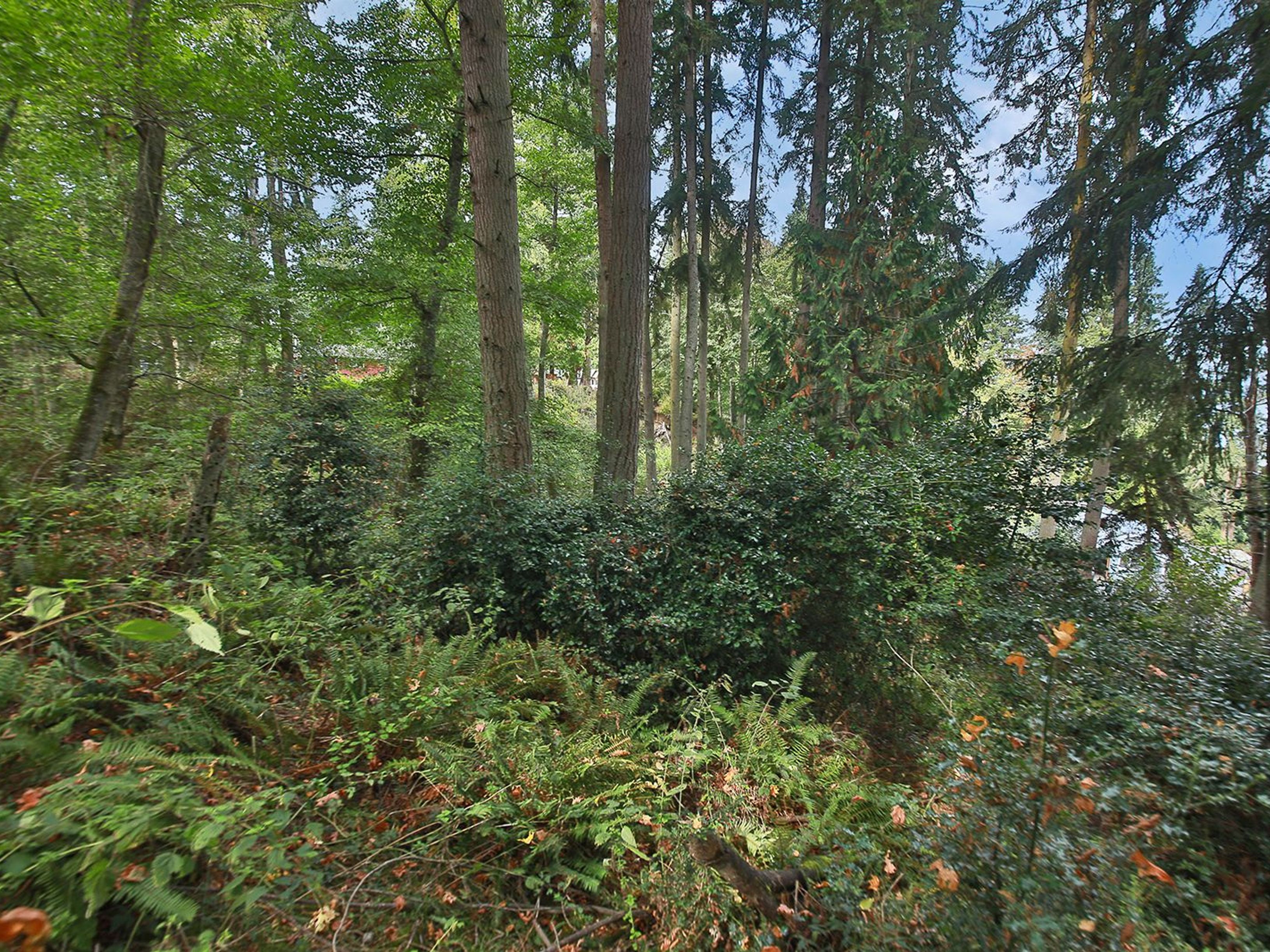  XXX Waterside Lane, Langley, WA 98260 - 物件實景