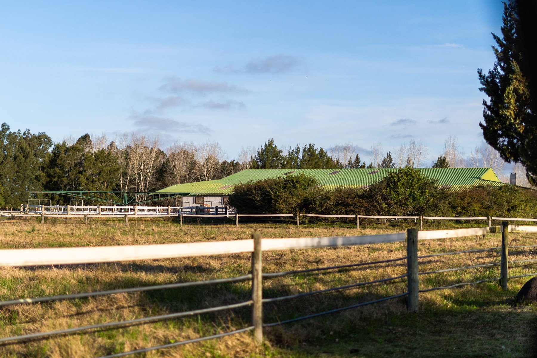  NAHUEL Stud Farm - 物件實景